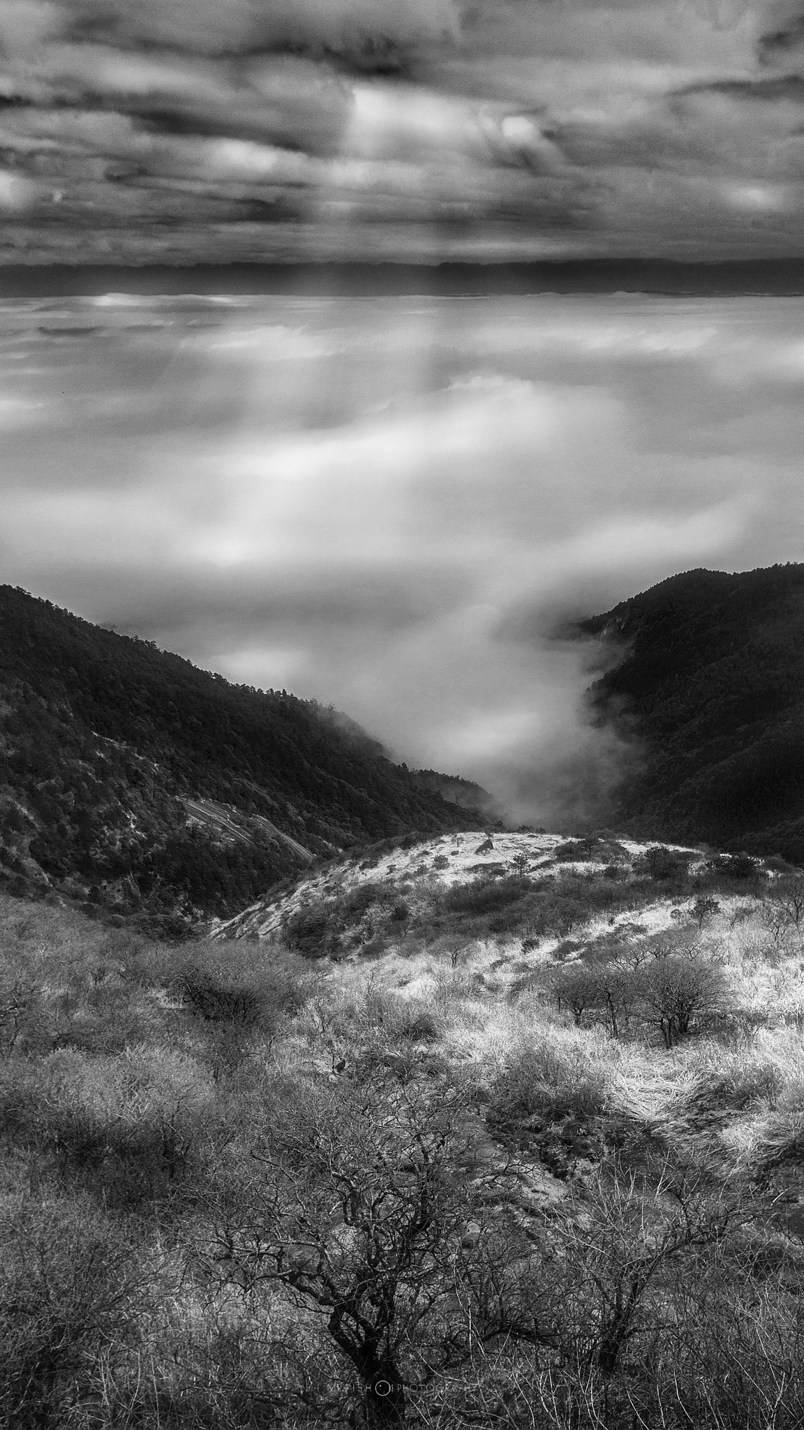 Canon EF 16-35mm F2.8L II USM sample photo. 黑白风景 壹壹贰 photography