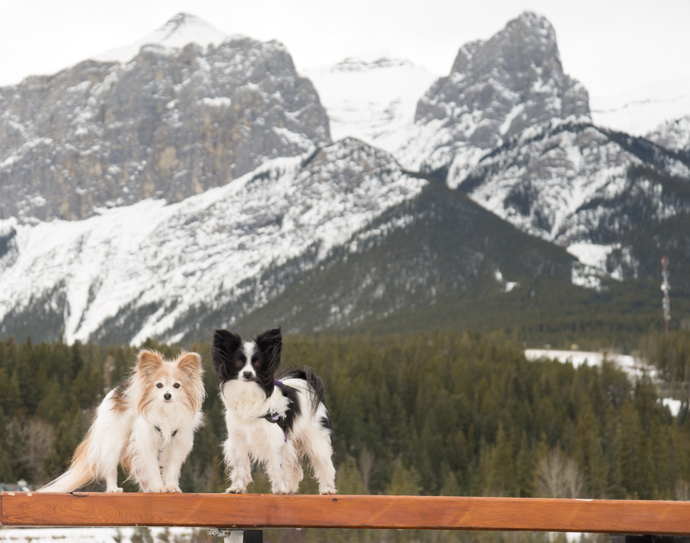 Nikon AF Nikkor 24-85mm F2.8-4D IF sample photo. Sisters in the mountains photography