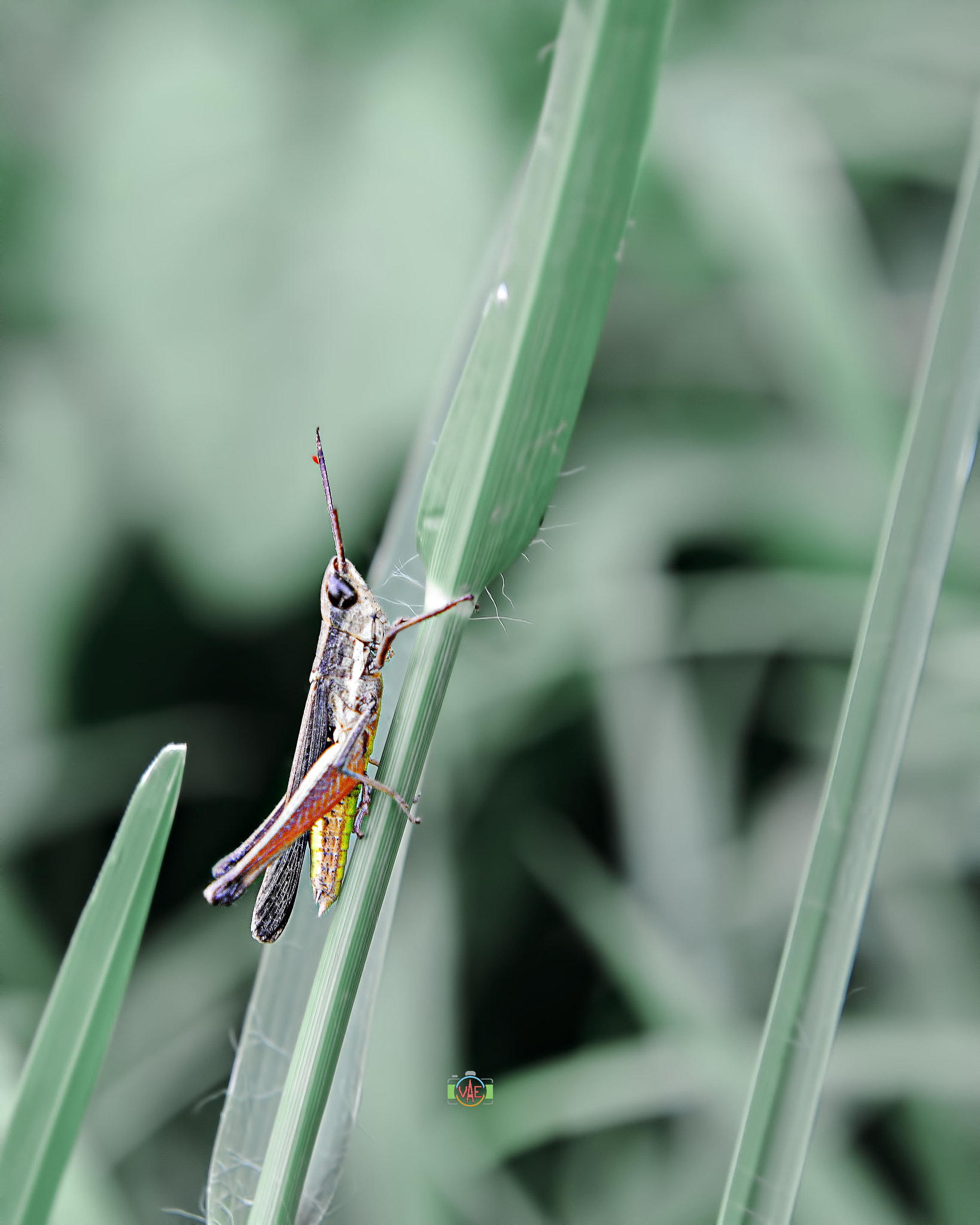 Nikon D800 sample photo. Rest photography