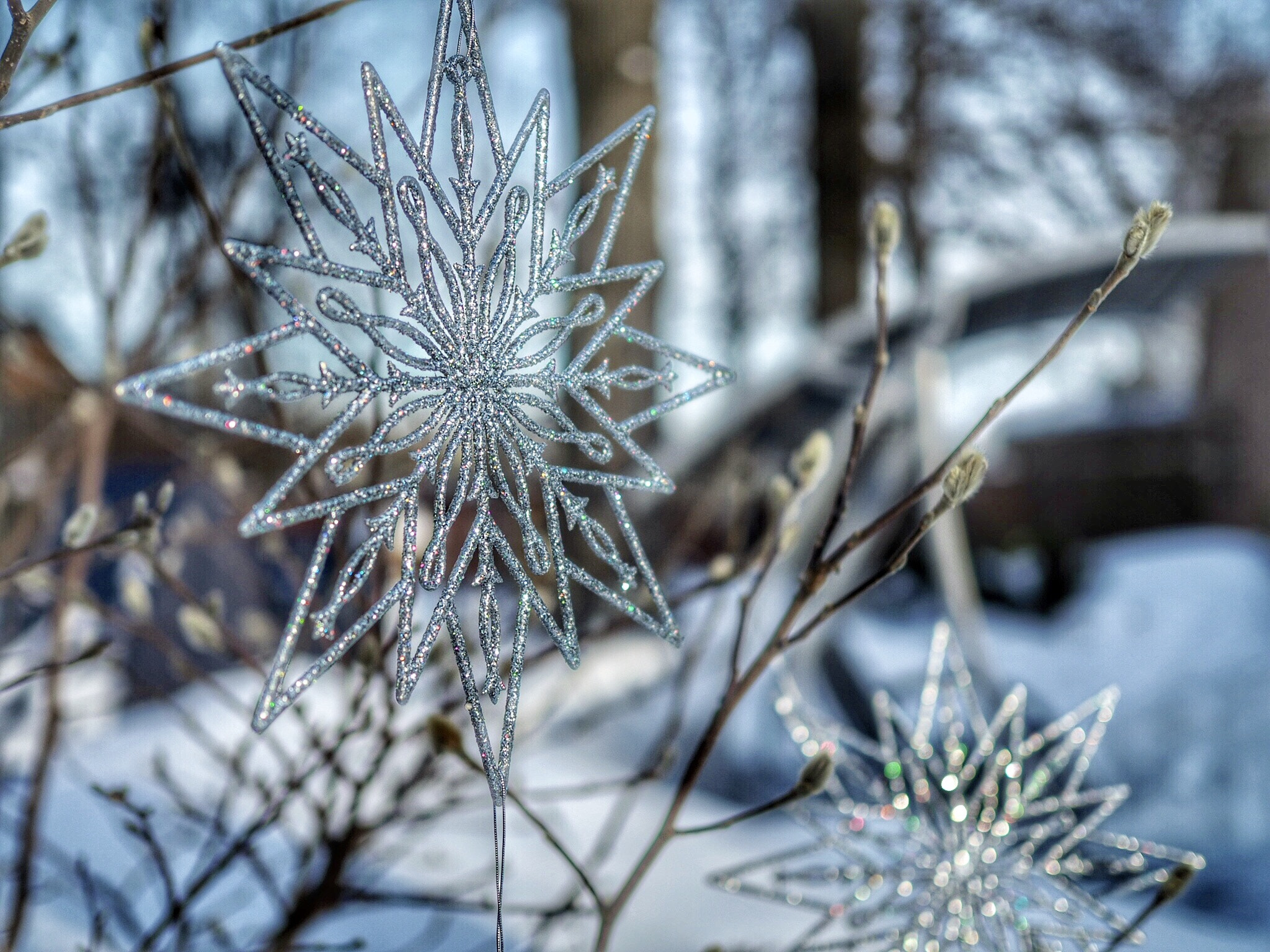 Olympus OM-D E-M5 II + Olympus M.Zuiko Digital 25mm F1.8 sample photo. Winter vibes photography