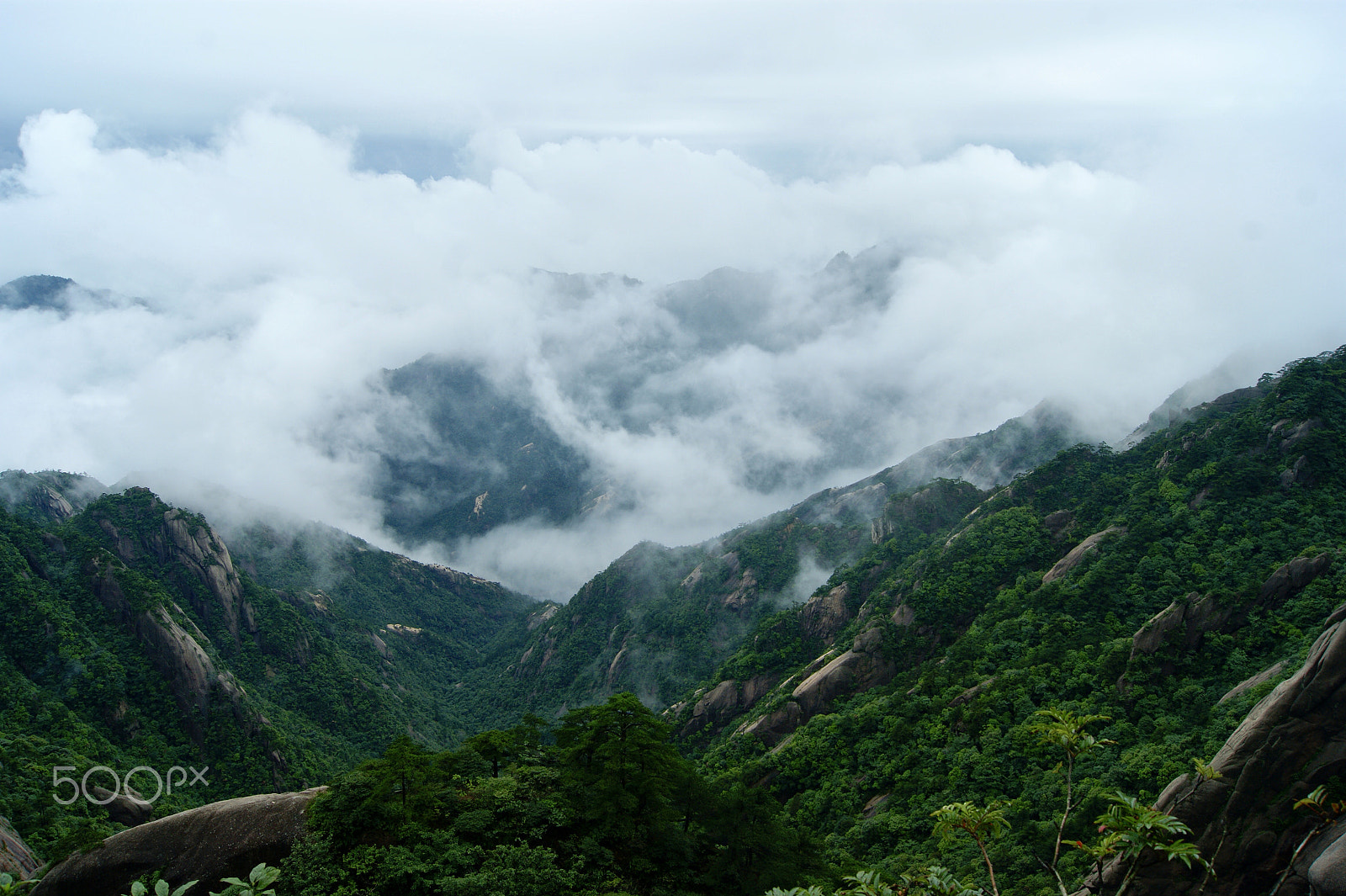 Sony Alpha DSLR-A290 sample photo. View of the huangshan landscape photography