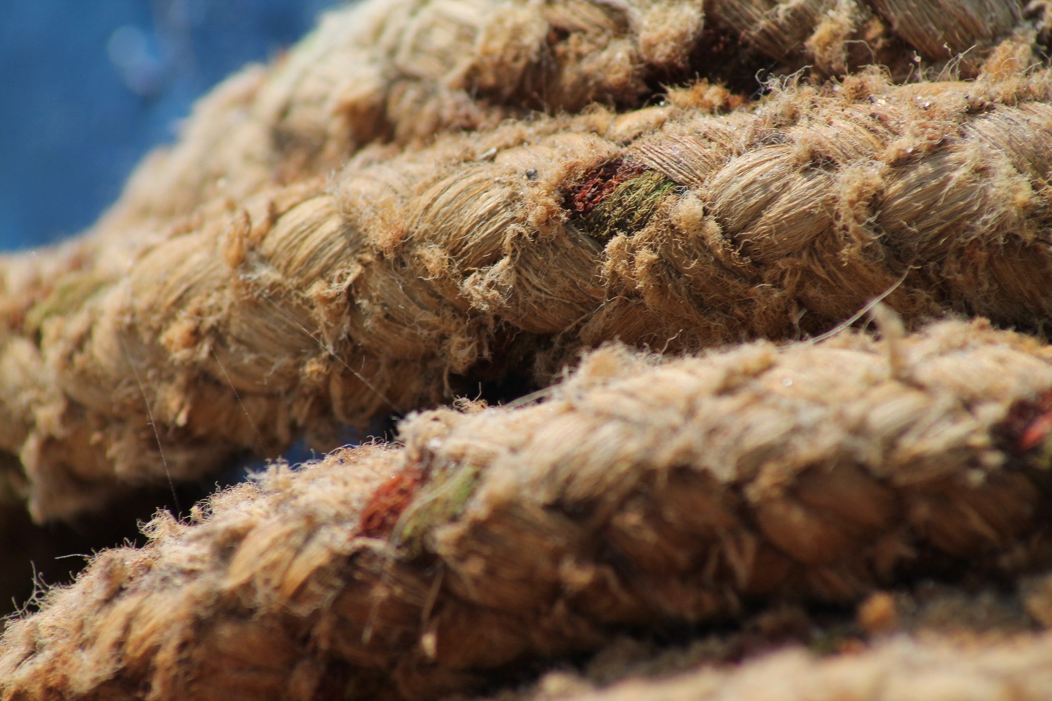 Canon EOS 1100D (EOS Rebel T3 / EOS Kiss X50) sample photo. Rope photography