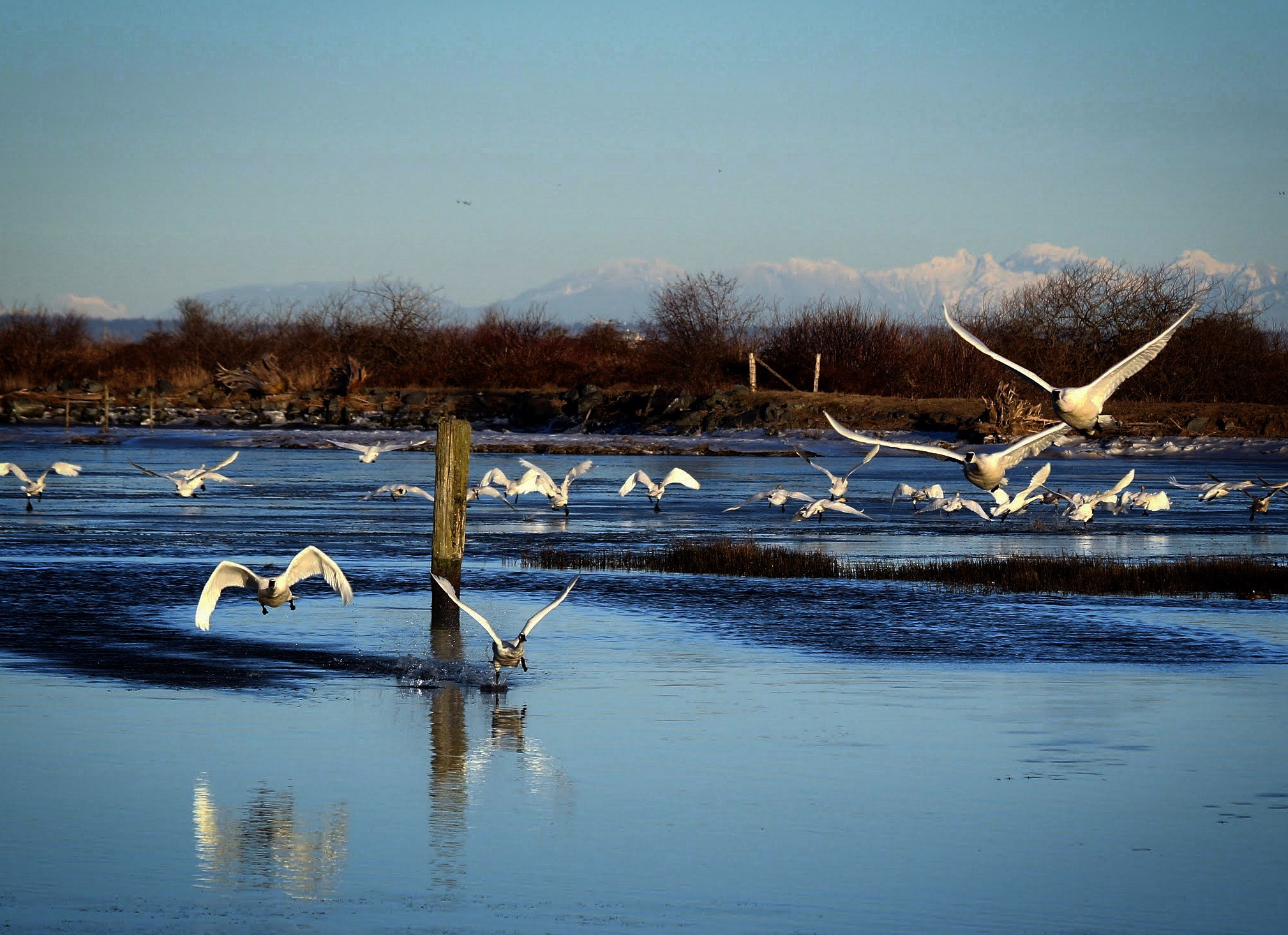 Canon EF 70-300mm F4-5.6 IS USM sample photo