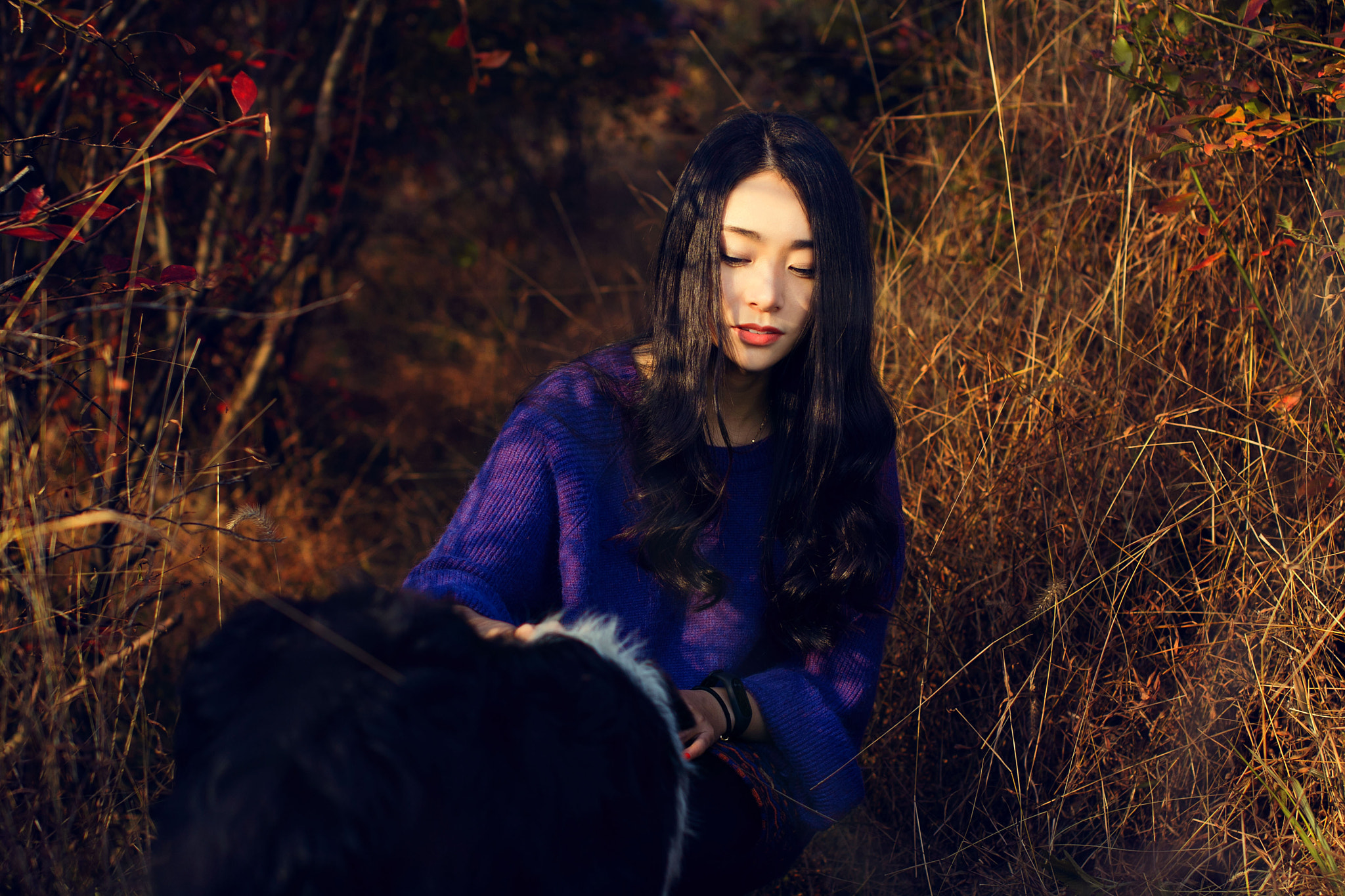 Sigma 50mm F1.4 EX DG HSM sample photo. Yue photography