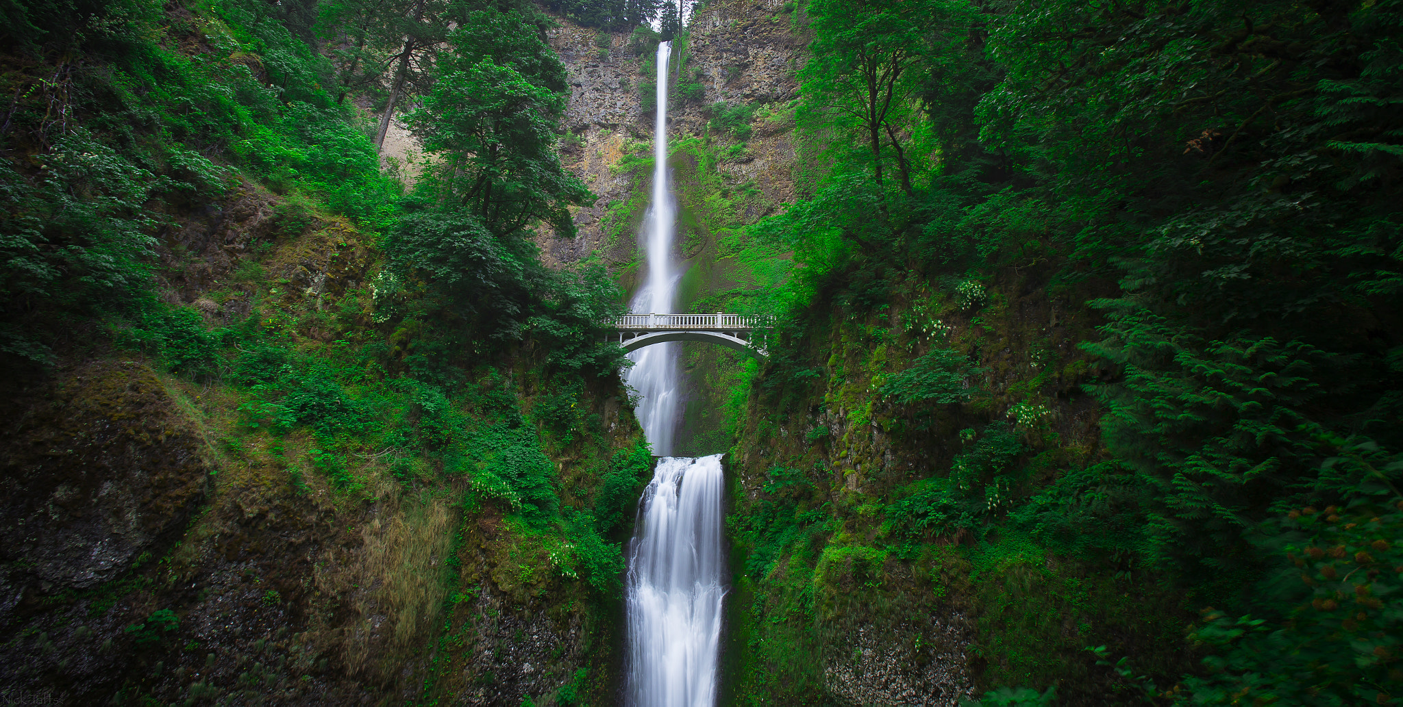 Canon EF 16-35mm F2.8L USM sample photo. Multnomah photography