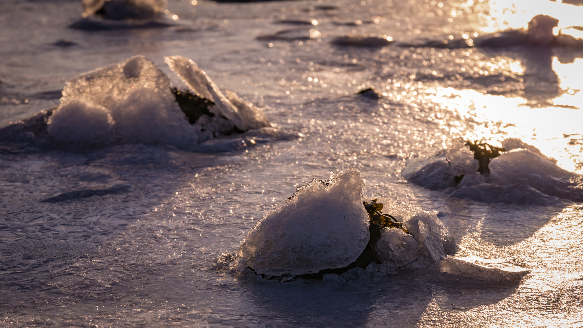 Sony SLT-A55 (SLT-A55V) sample photo. Ice floe ii photography