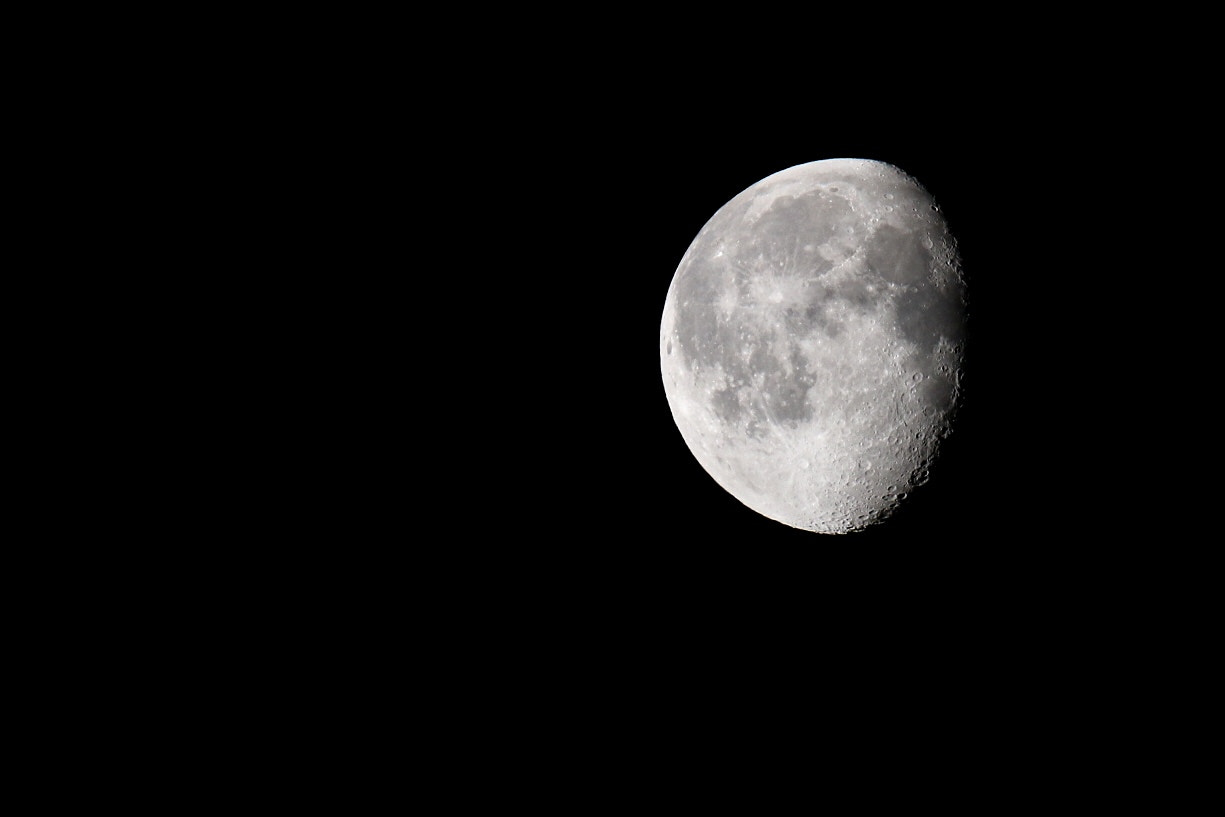 Sigma 150mm f/2.8 EX DG OS HSM APO Macro sample photo. The beauty of nature lies in its imperfection. photography