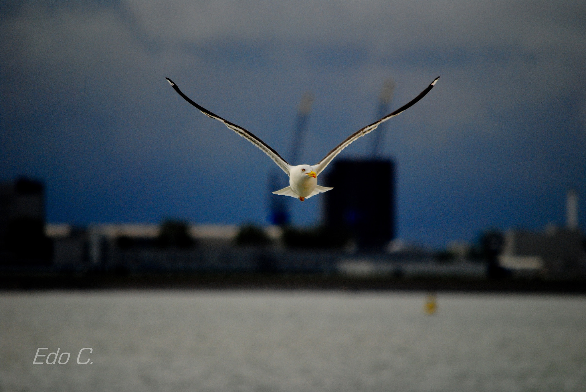 Nikon D3000 sample photo. I still haven't found what i'm looking for. photography