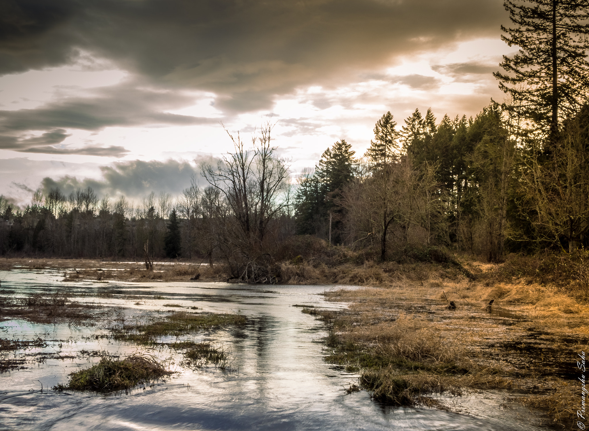 Olympus OM-D E-M10 + LUMIX G 25/F1.7 sample photo. Creekside sunset photography
