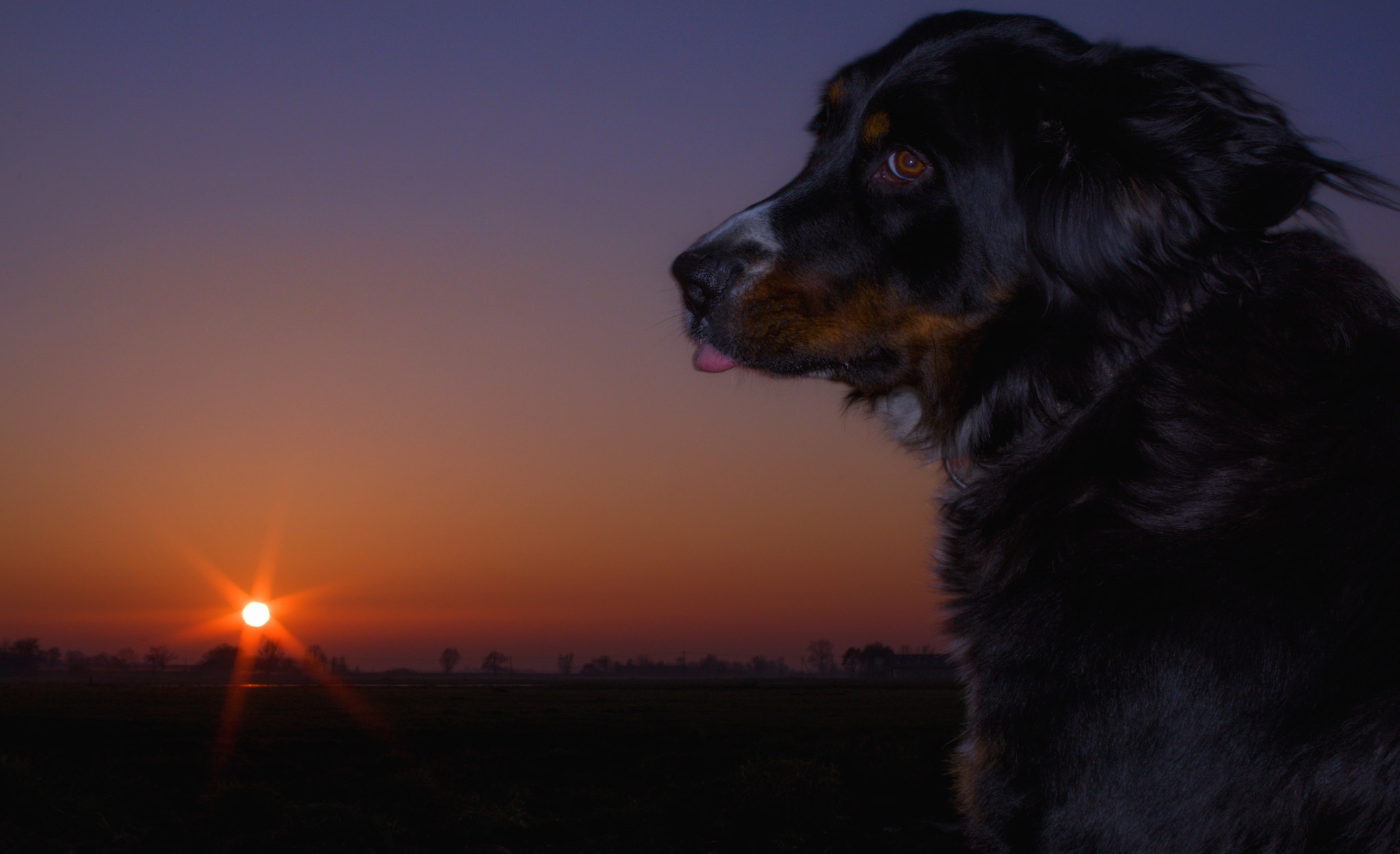 Pentax K-70 + Pentax smc DA 35mm F2.4 AL sample photo. Sunset with leica photography