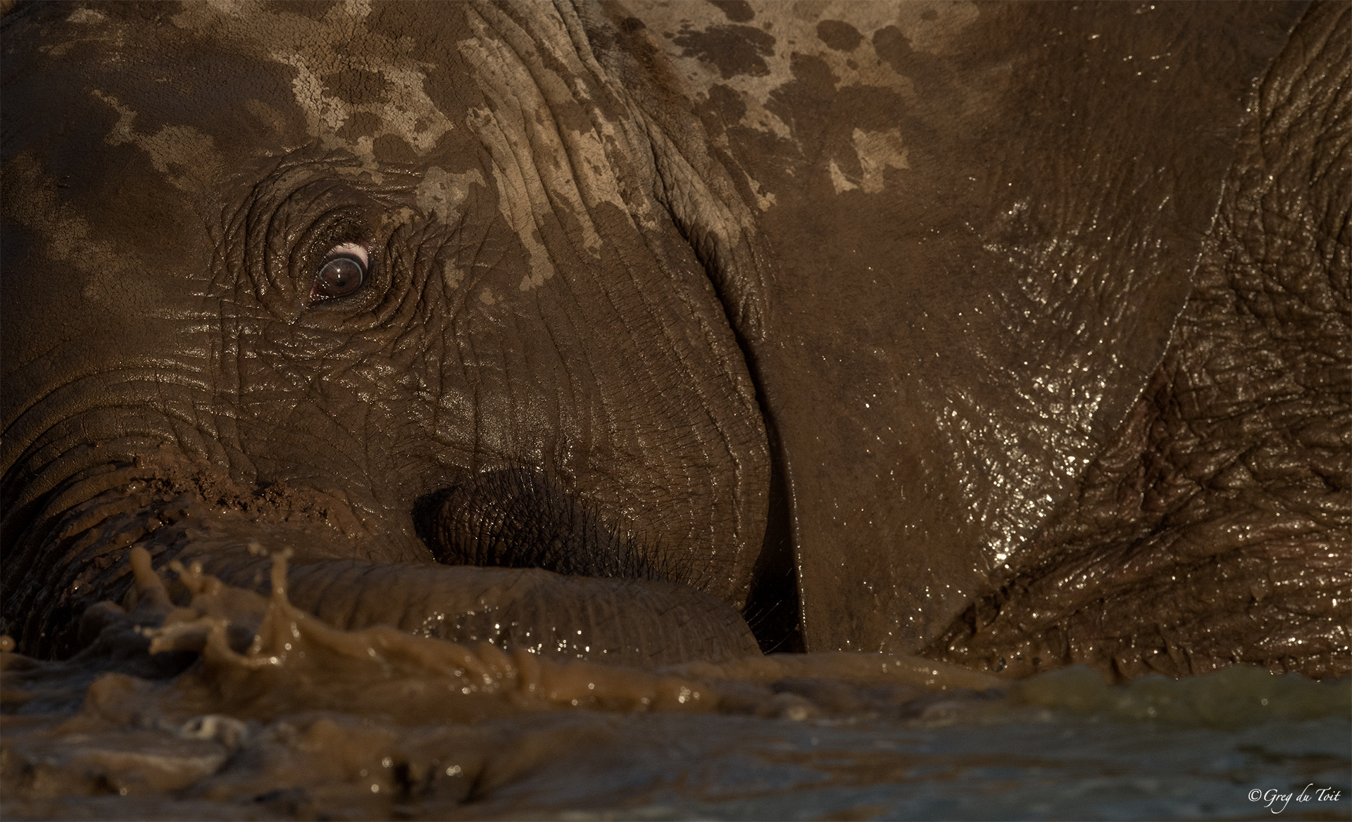 Nikon AF-S Nikkor 500mm F4E FL ED VR sample photo. Bath time photography