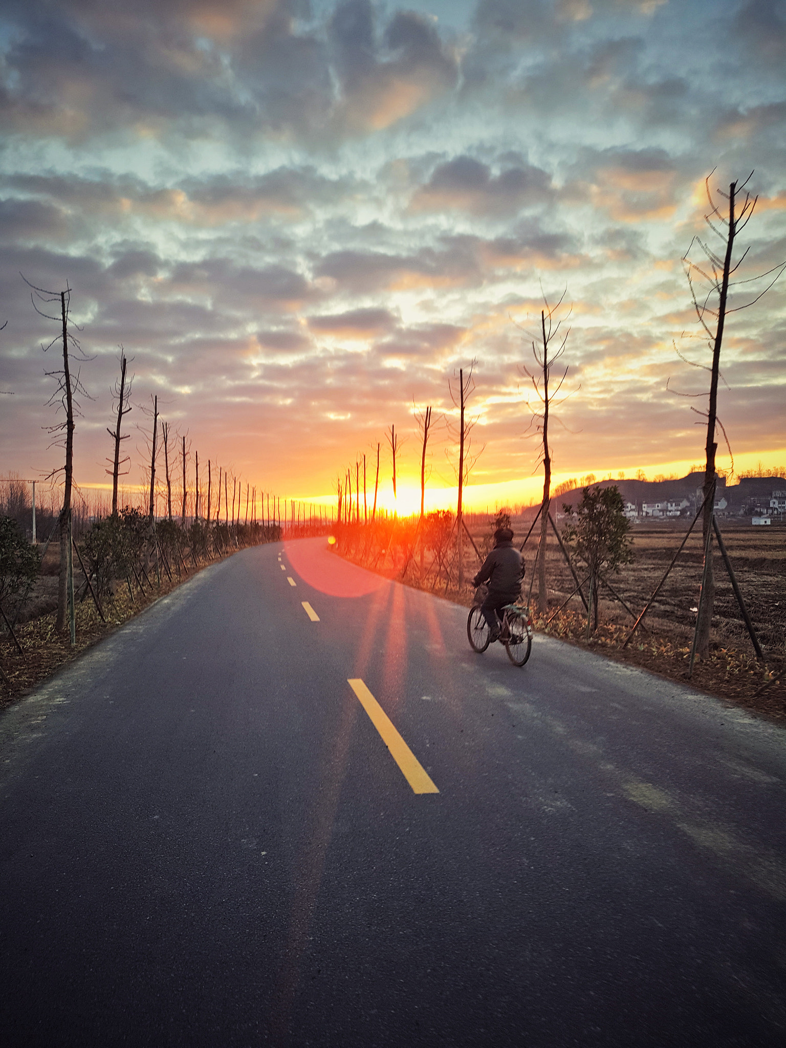 Meizu PRO 5 sample photo. Morning light photography