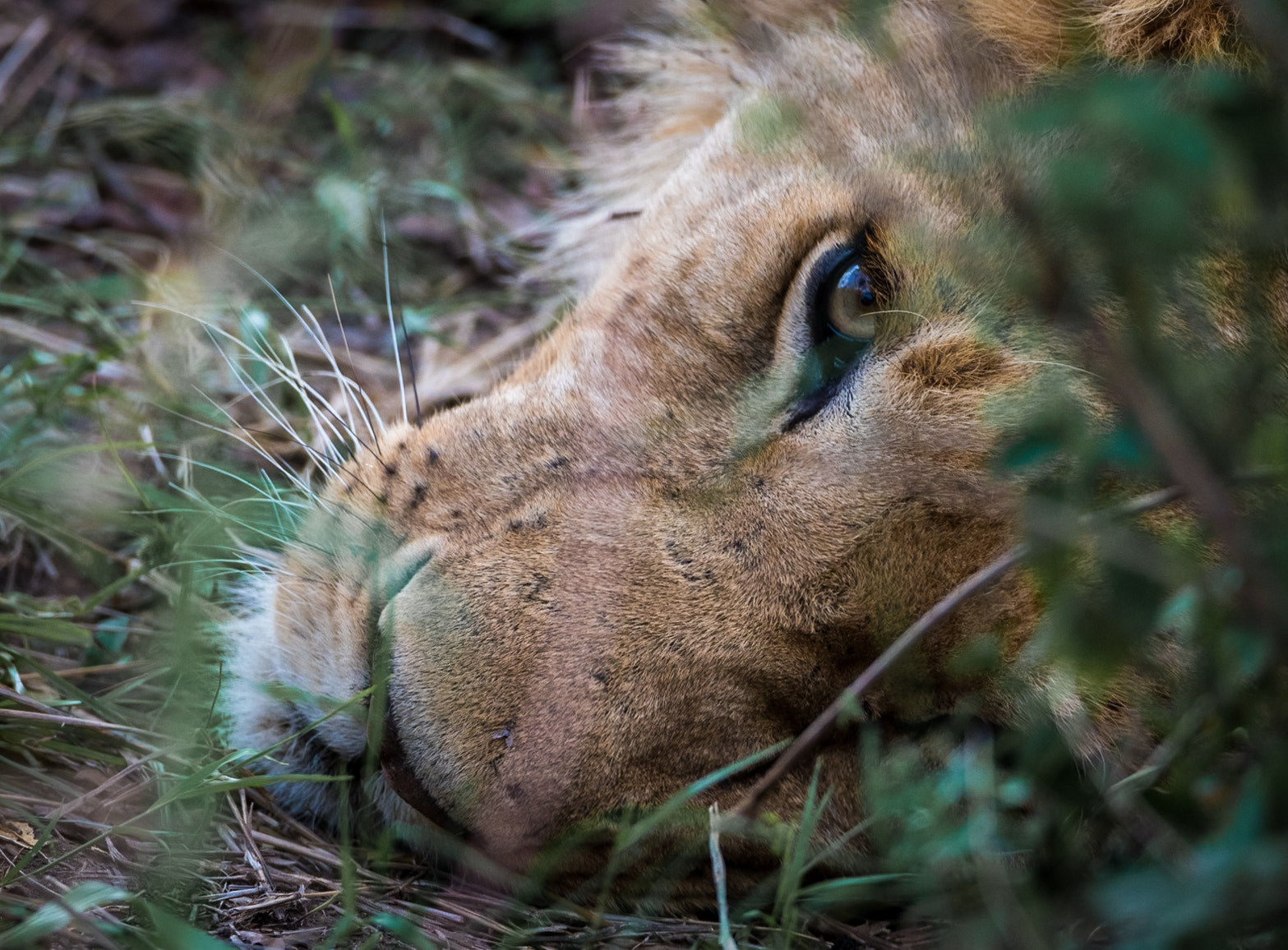 Nikon D810 sample photo. Sometimes it's all too much photography