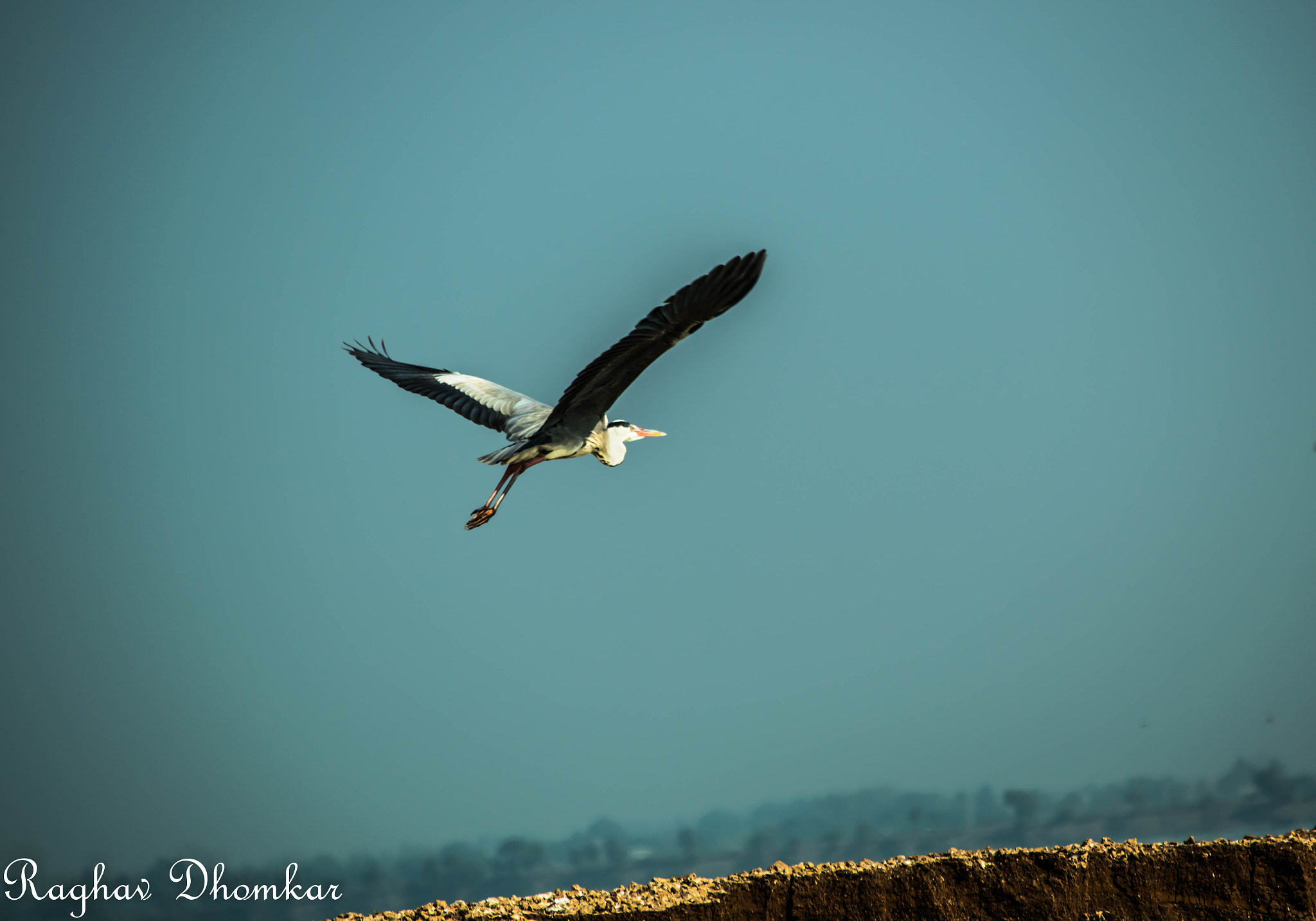 Nikon D5500 sample photo. Untitled photography