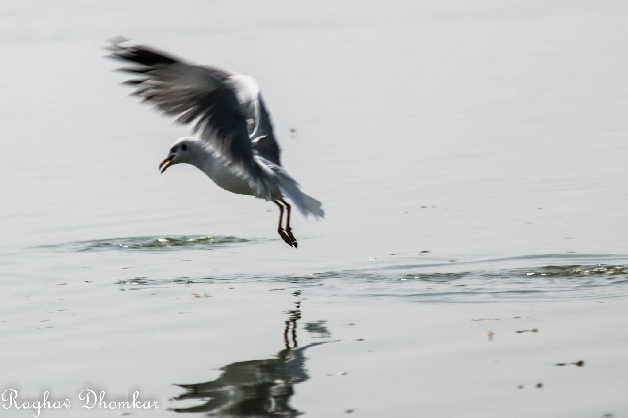 Nikon D5500 sample photo. Untitled photography