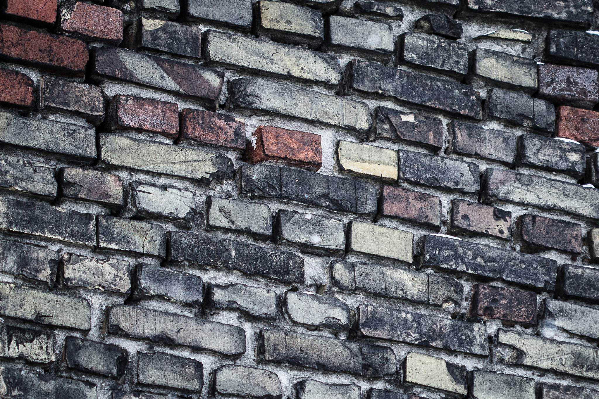 Canon EF 100mm F2.8 Macro USM sample photo. Bricks photography