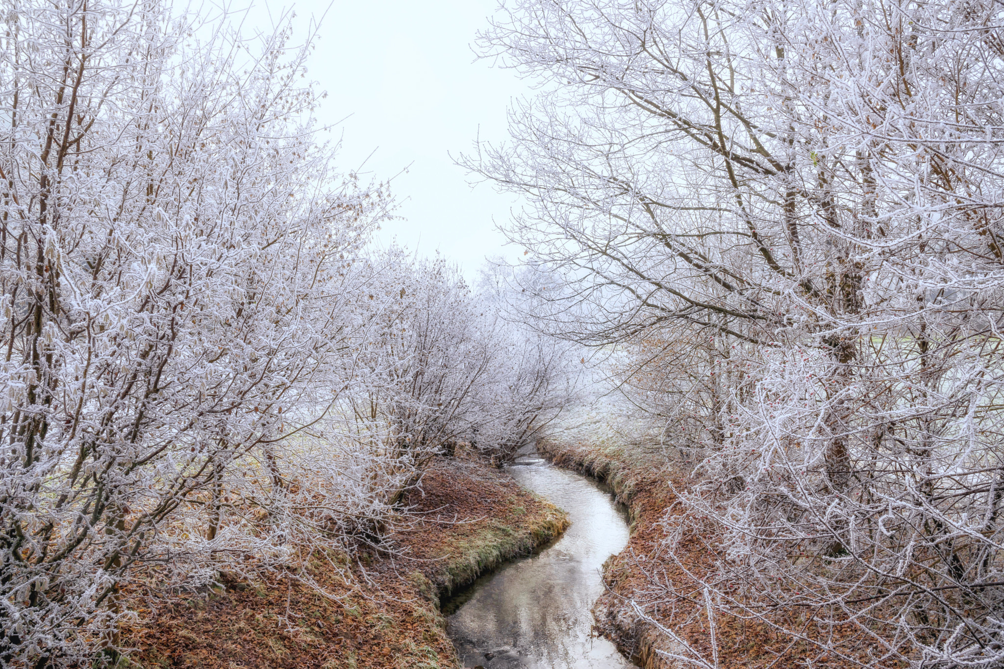 Nikon D5300 sample photo. Winter brook photography