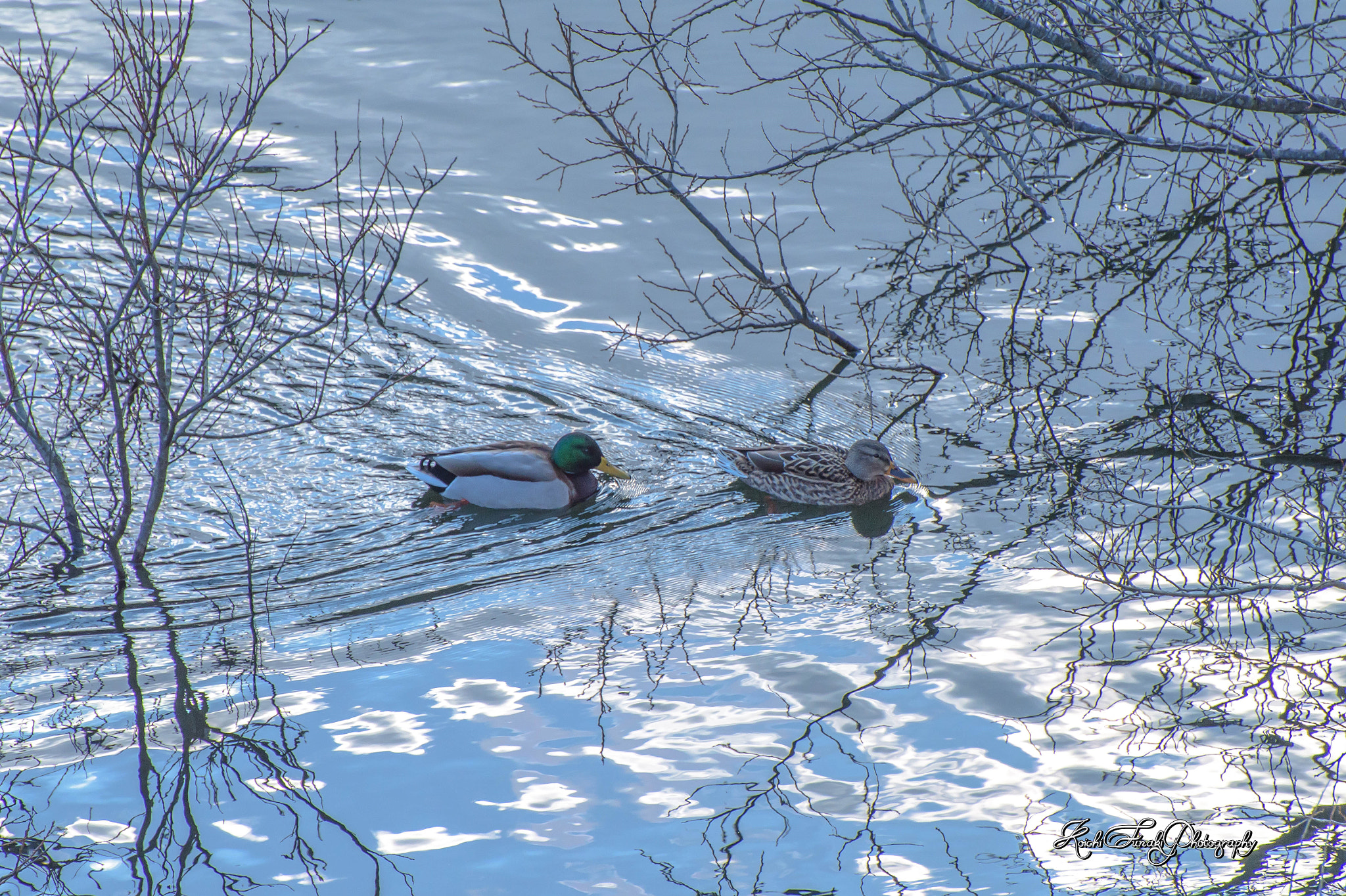 Nikon D810 sample photo. Couple photography