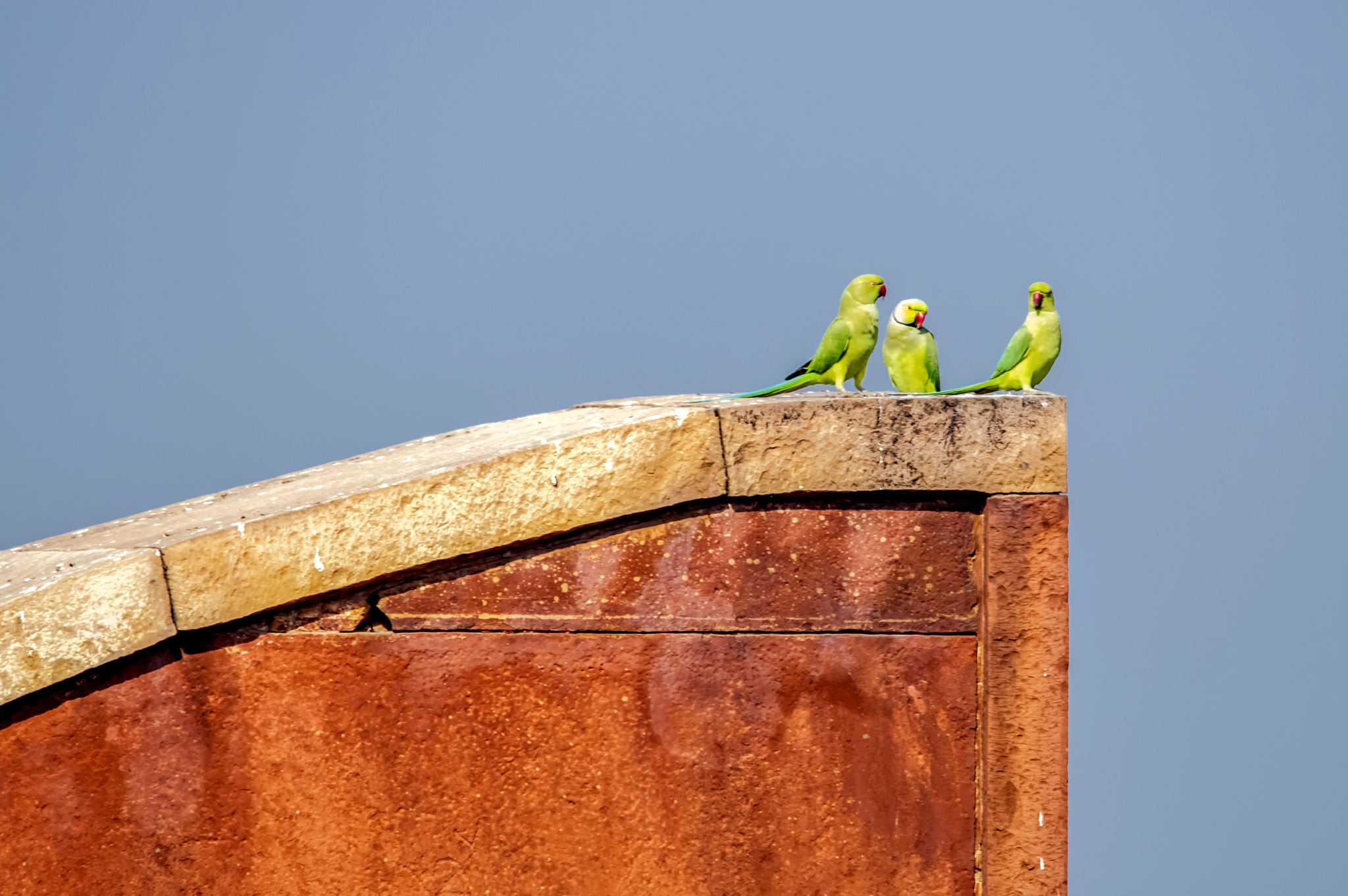 Pentax K-3 II + Sigma 150-500mm F5-6.3 DG OS HSM sample photo. Colors photography