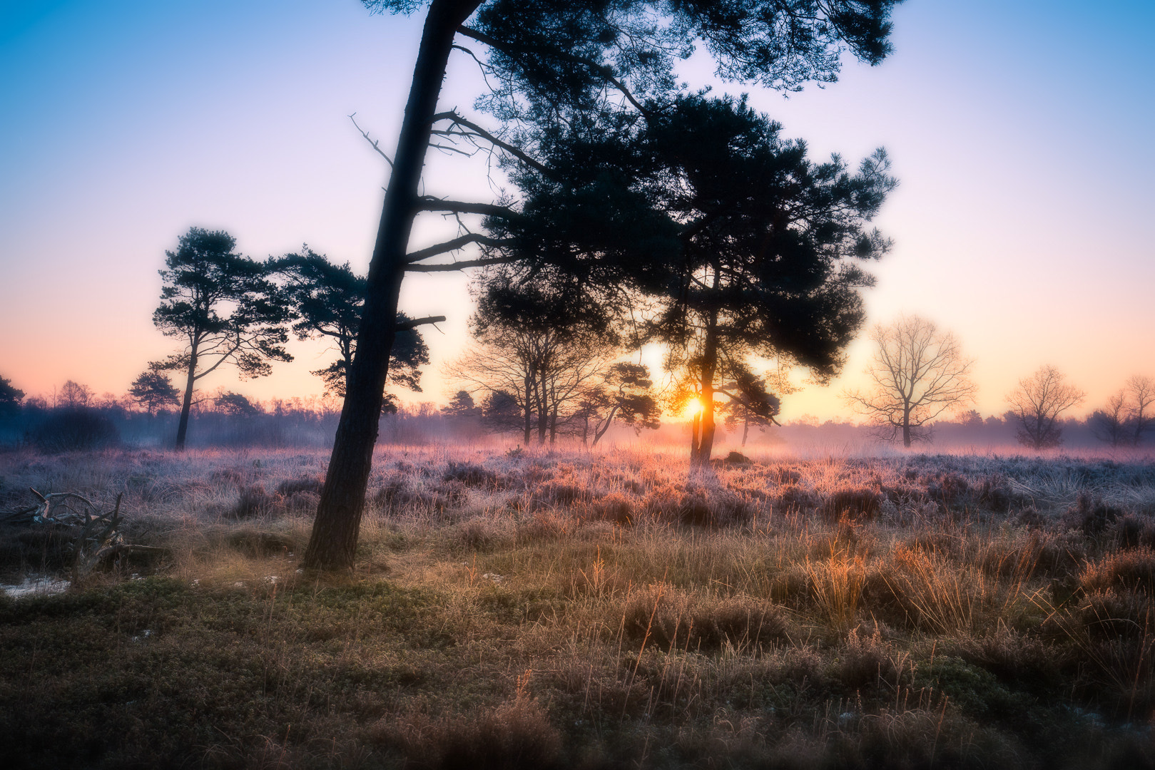Canon EF 16-35mm F4L IS USM sample photo. After sunrise photography