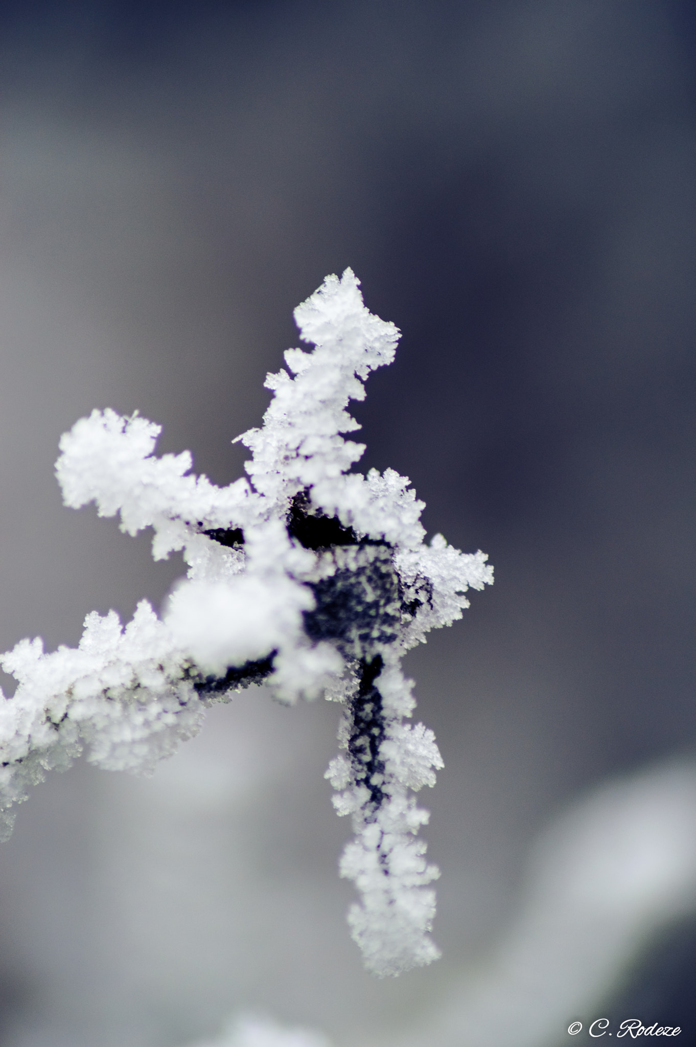 Nikon D3200 sample photo. Frozen 2 photography