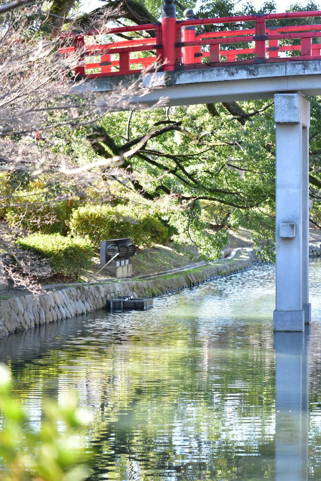 Nikon AF-S DX Micro-Nikkor 85mm F3.5G ED VR sample photo