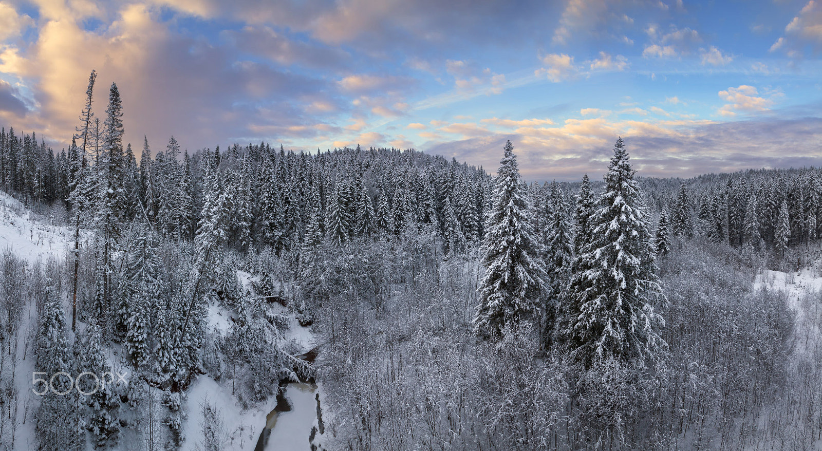 Canon EF-S 17-55mm F2.8 IS USM sample photo. Frosty freshness photography