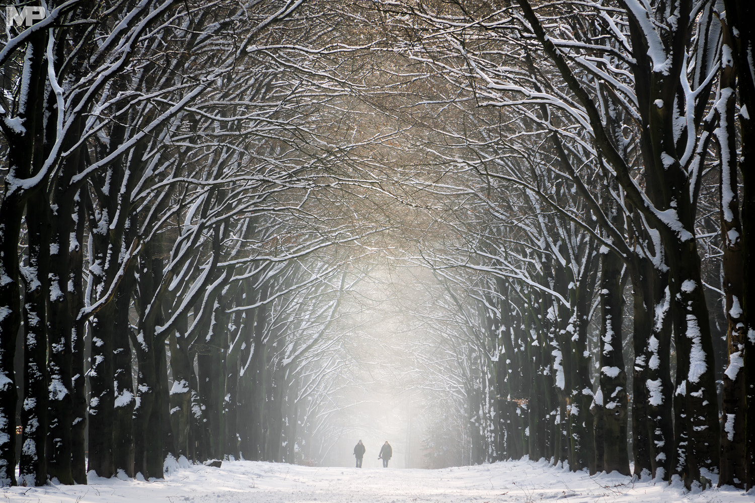 Sony E 18-200mm F3.5-6.3 OSS sample photo. Winter tunnel photography