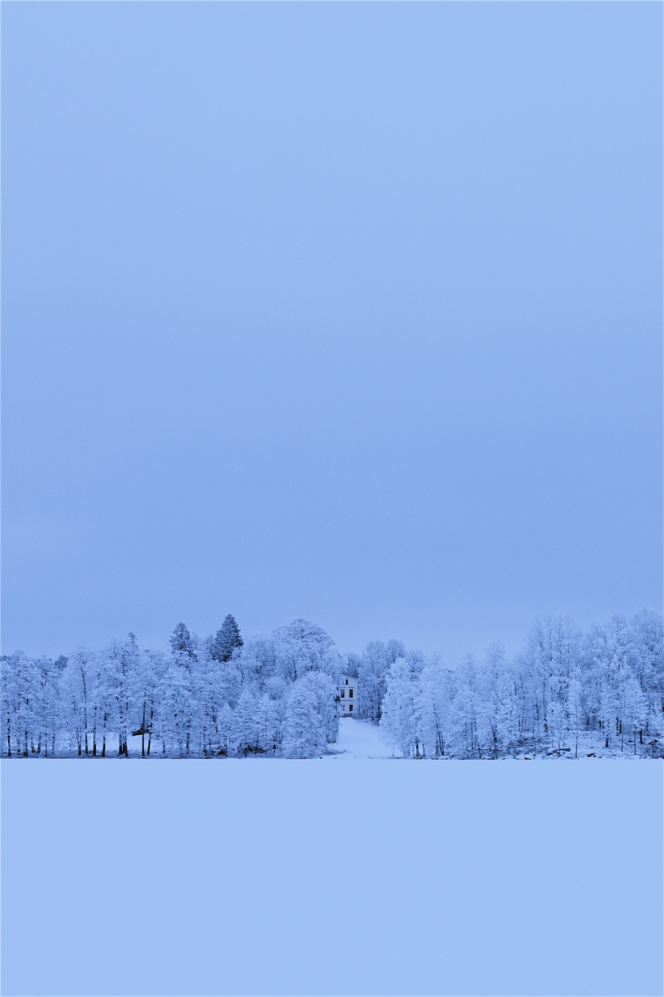 Canon EF 50mm F1.4 USM sample photo. Witness the whiteness photography
