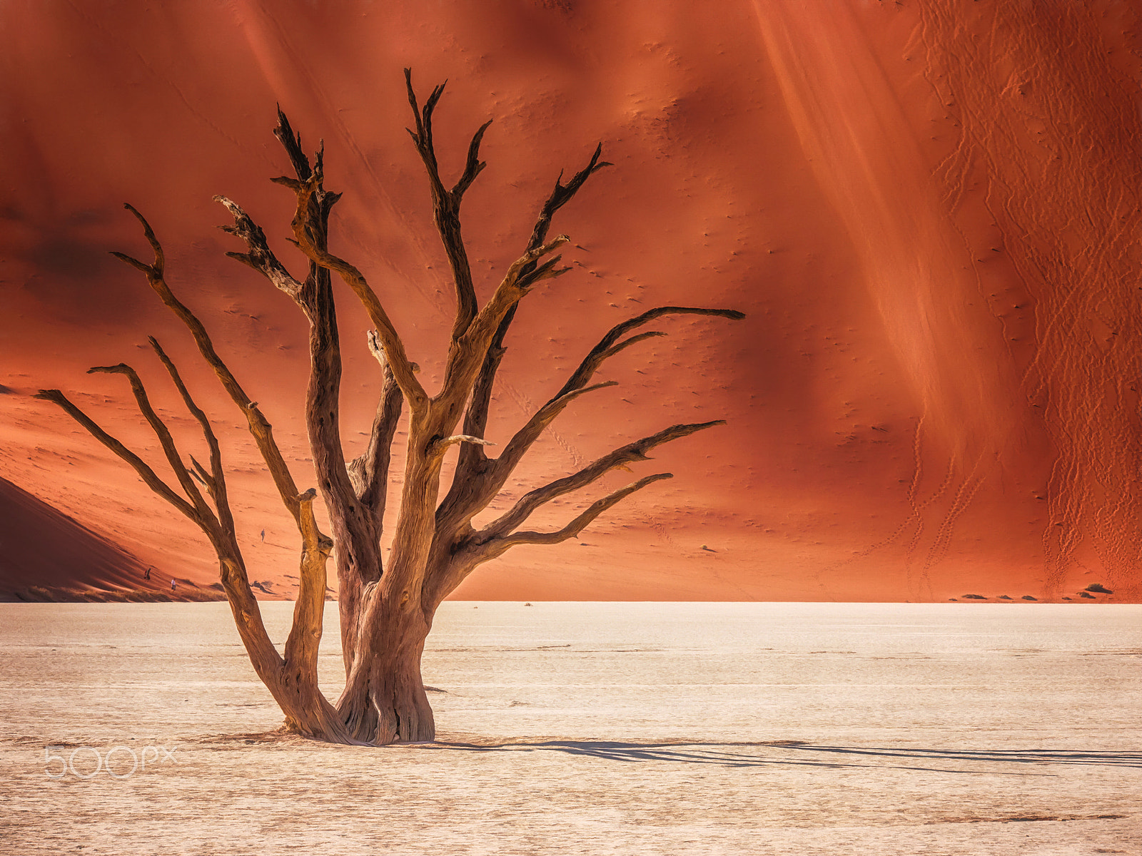 Panasonic Lumix G X Vario 35-100mm F2.8 OIS sample photo. Tree skeleton photography