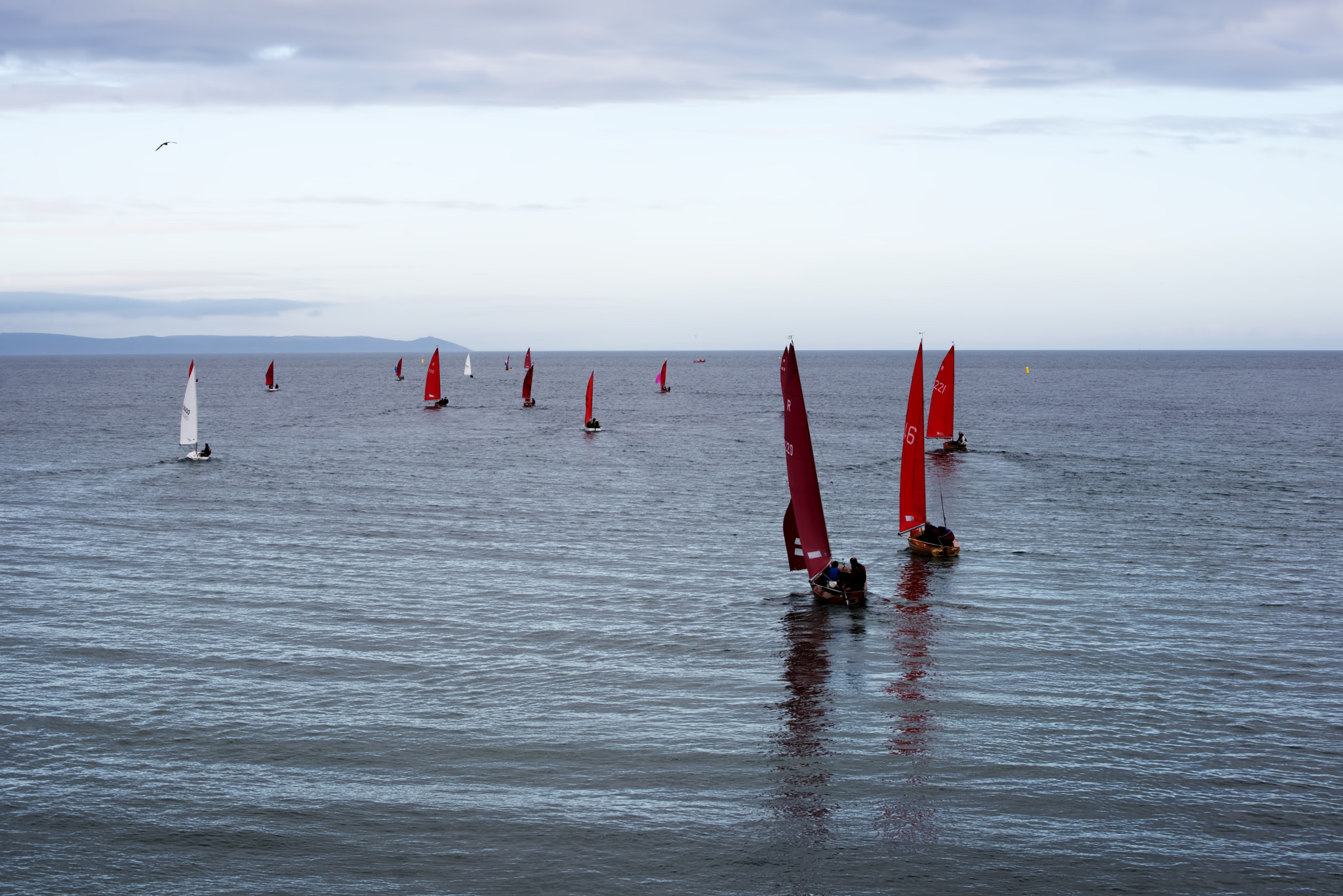 Nikon D600 sample photo. Evening manoeuvres (1) photography