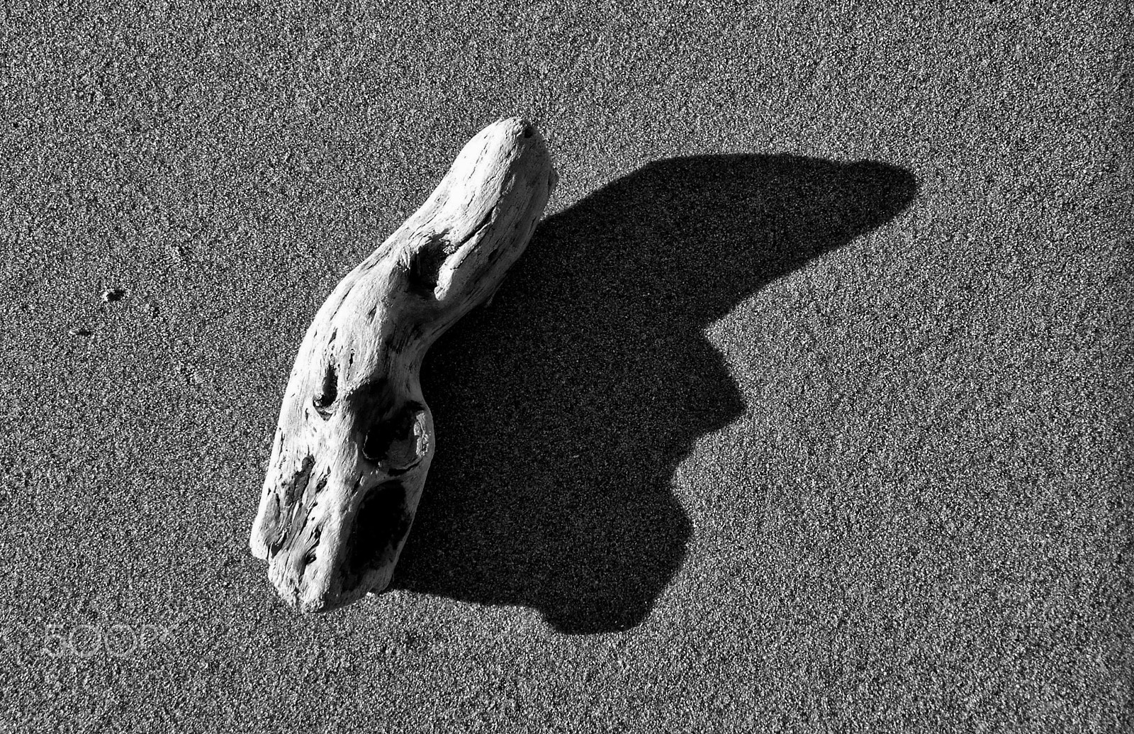 Samsung Pro 815 sample photo. Playa photography