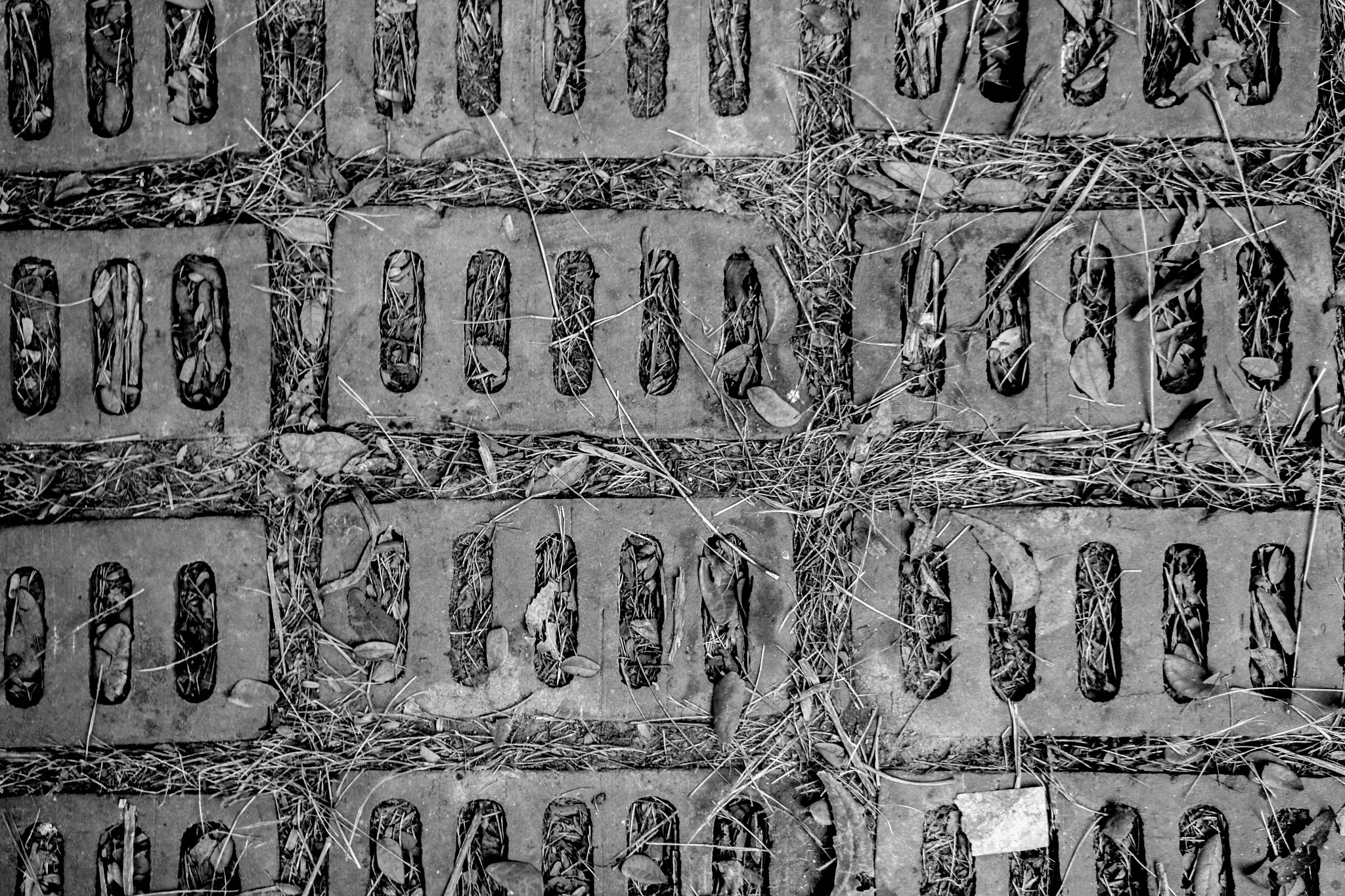 Canon EOS 60D sample photo. Pavement photography