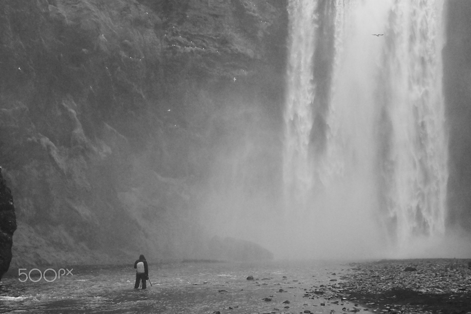 Sony ILCA-77M2 sample photo. The man and the waterfall - iceland photography