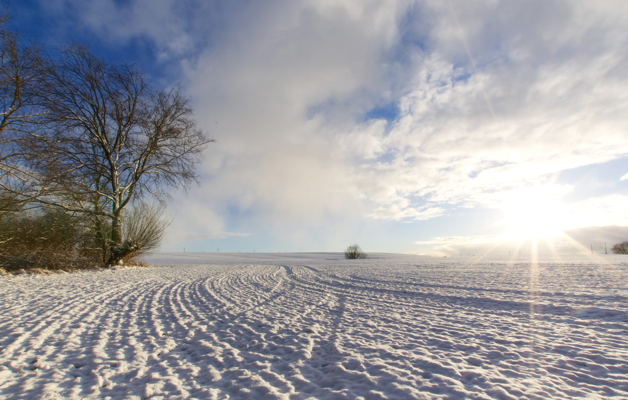 Nikon D5100 + Sigma 10-20mm F3.5 EX DC HSM sample photo. Dsc 2161 winter in brandenburg  photography