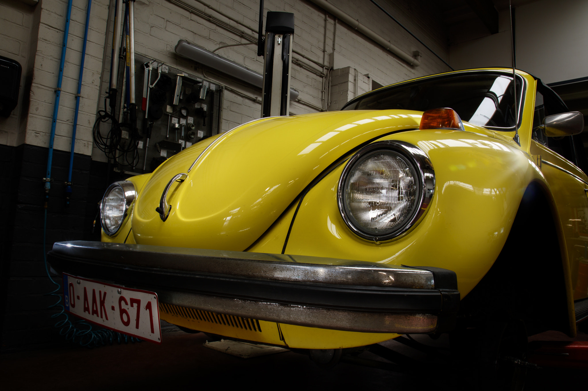 Canon EOS 760D (EOS Rebel T6s / EOS 8000D) sample photo. Beetle photography