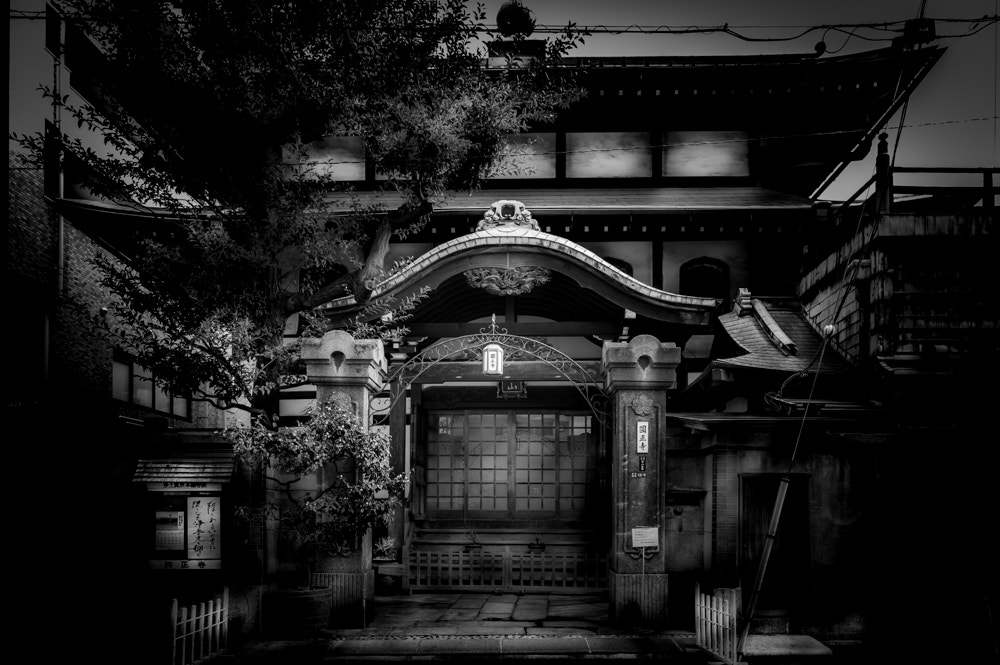 Leica Super-Elmar-M 21mm F3.4 ASPH sample photo. Tsukiji fish market, tokyo photography