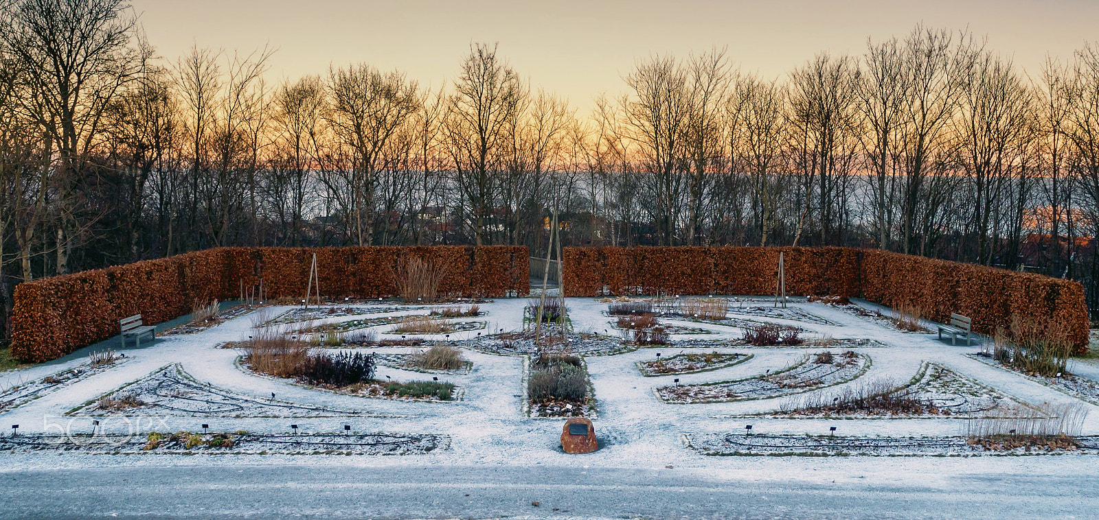 Panasonic Lumix DMC-GX7 sample photo. Garden in wintersleep photography