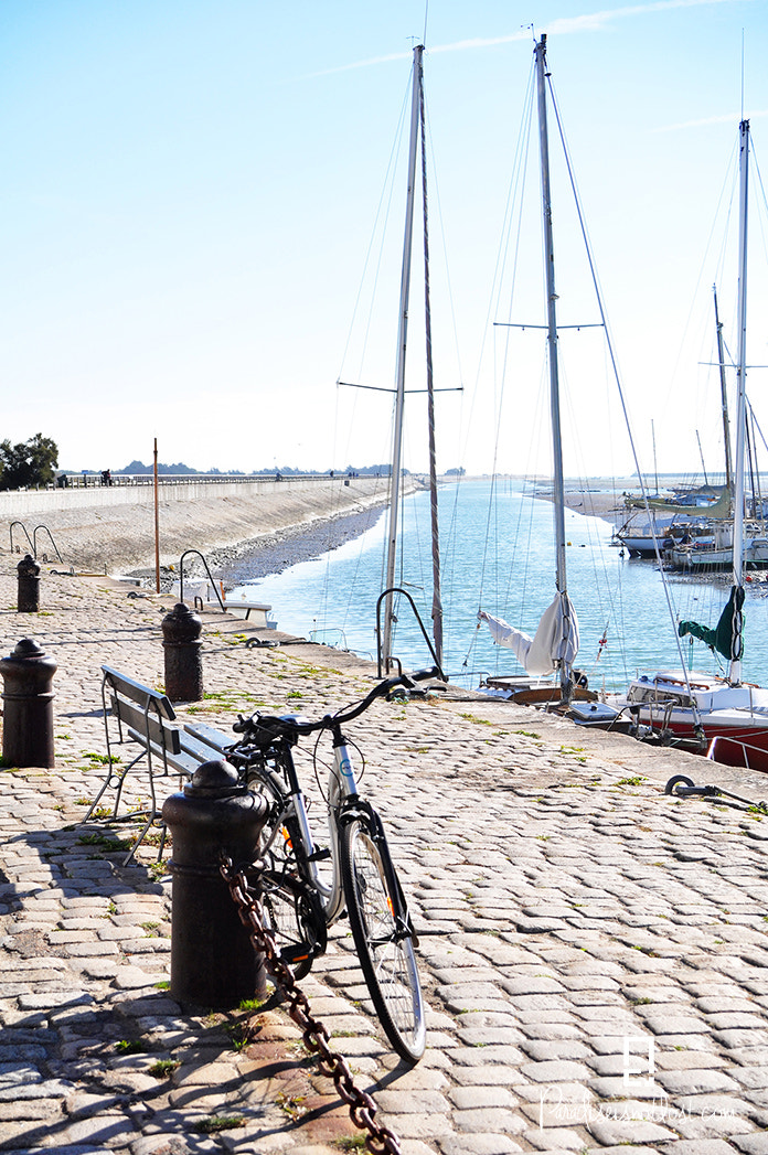 Sigma 18-50mm F3.5-5.6 DC HSM sample photo. Saveurs d'automne noirmoutier photography