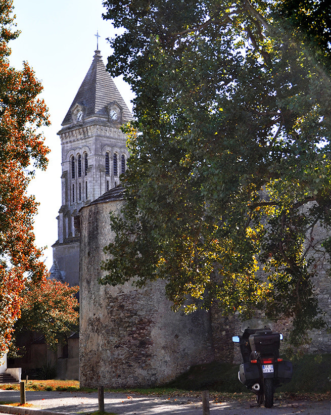 Nikon D90 sample photo. Saveurs d'automne noirmoutier photography