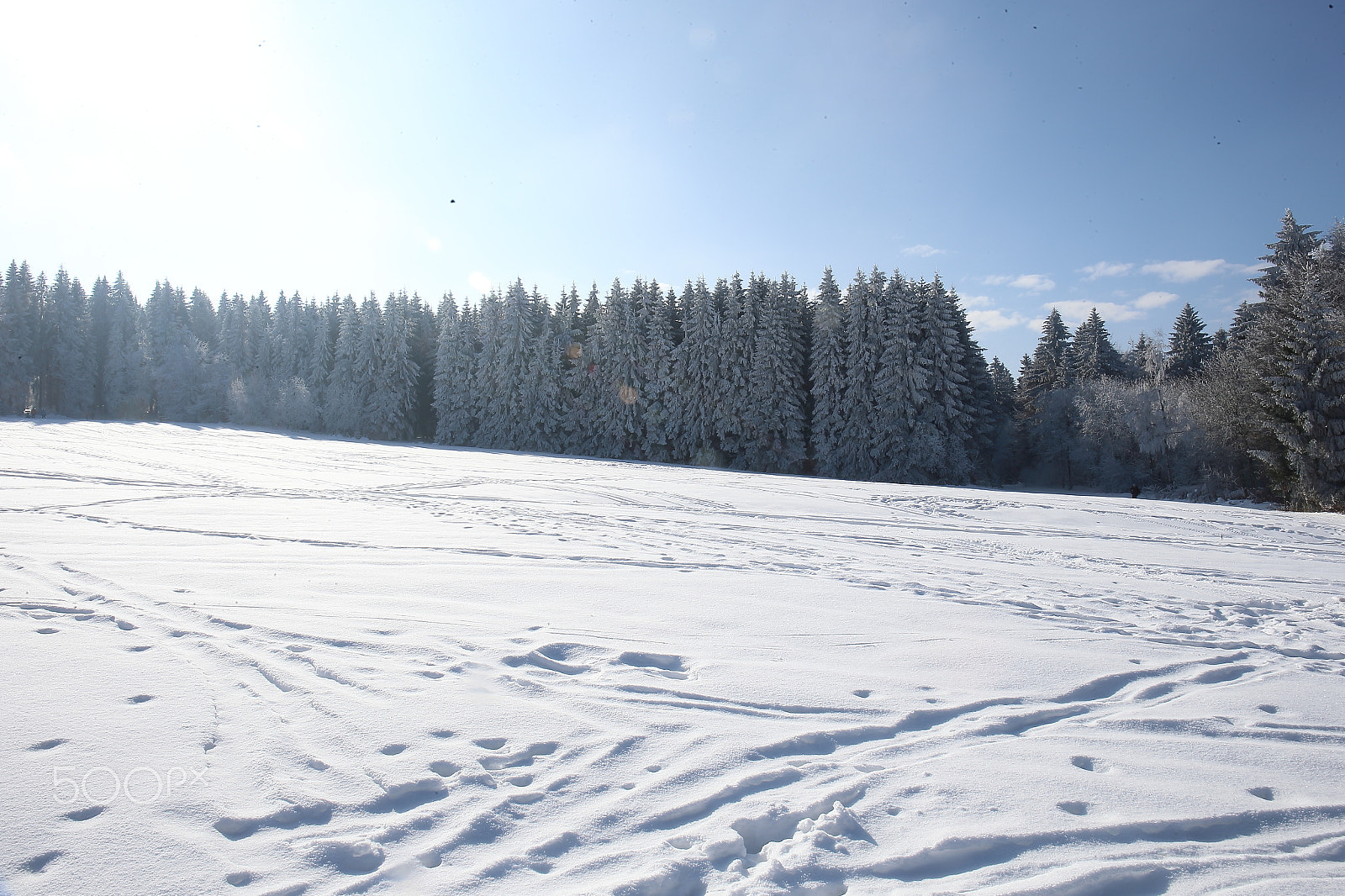 Canon EF 24-70mm F4L IS USM sample photo. Schneeskulpturenbau photography
