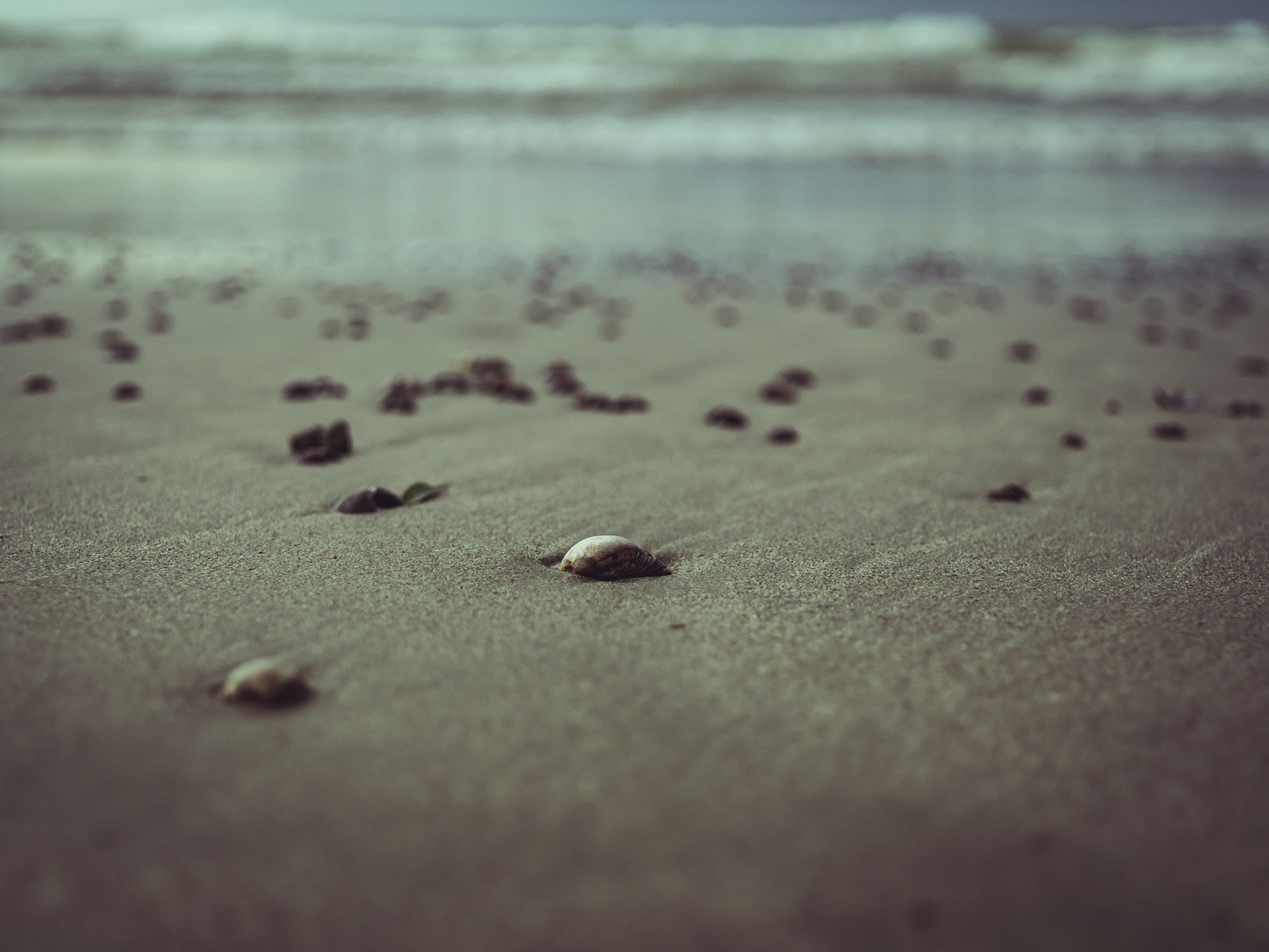 Sigma 30mm F2.8 DN Art sample photo. Abandoned on the shore. photography