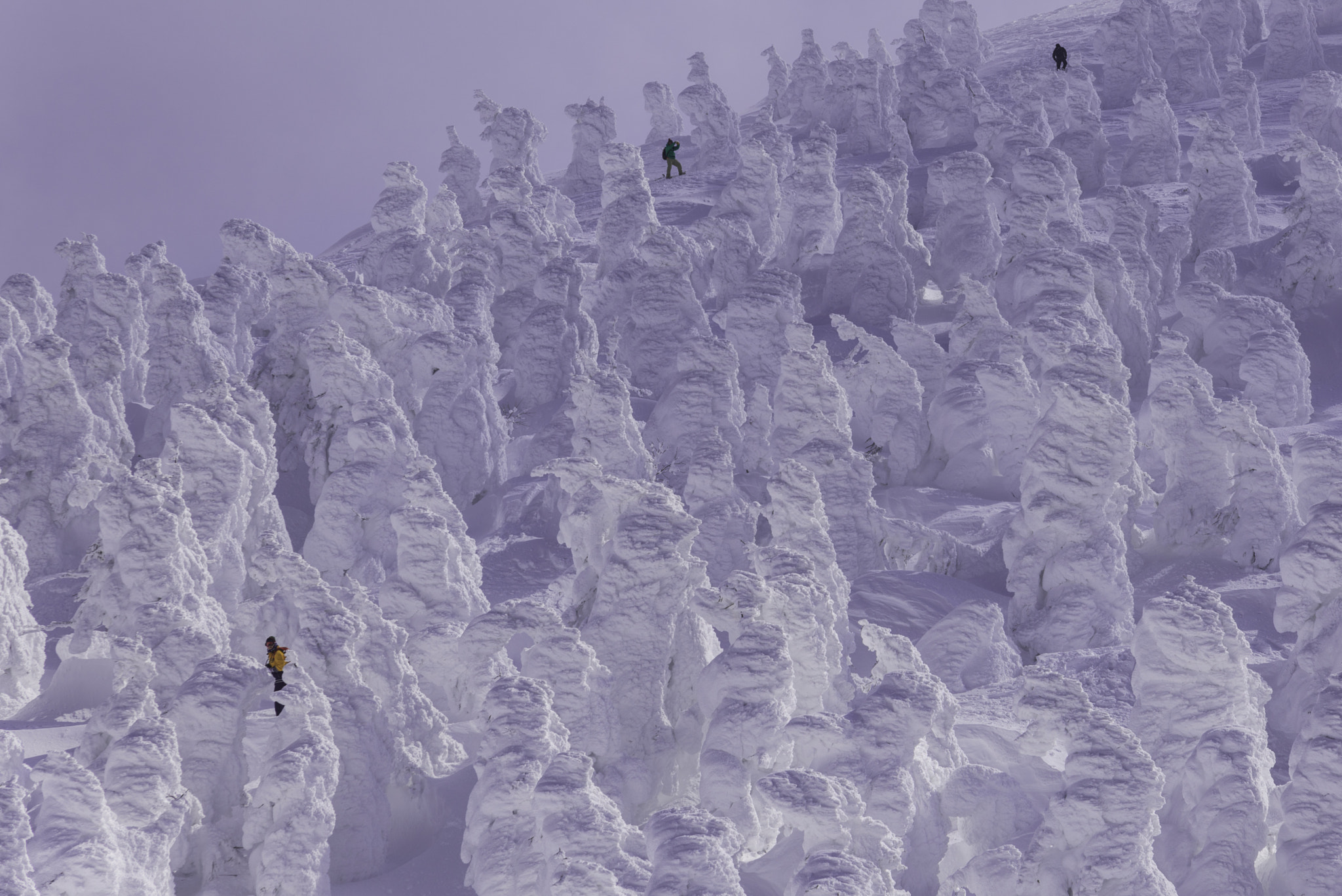Tamron SP 24-70mm F2.8 Di VC USD sample photo. Snow monster photography