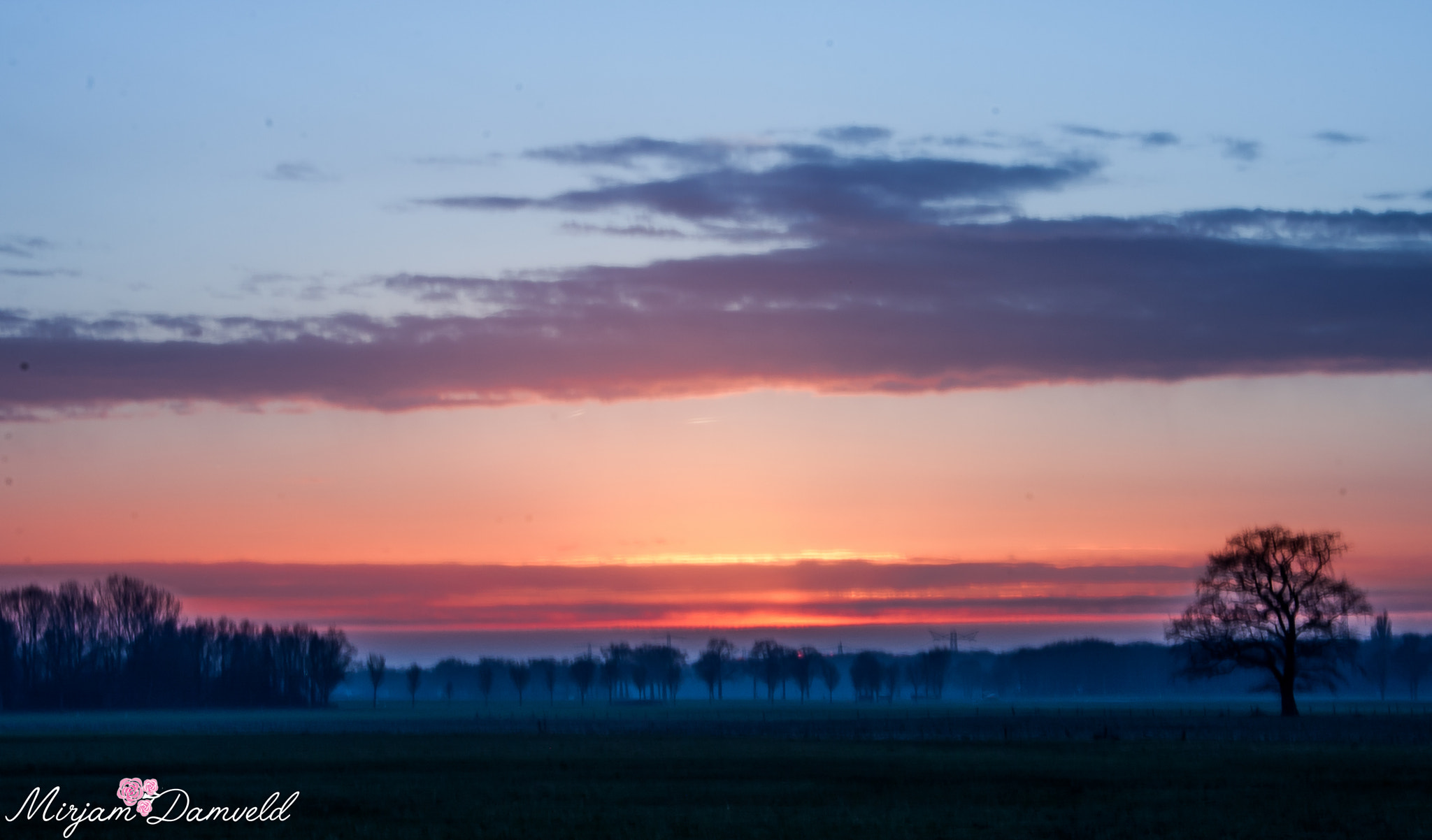 Canon EOS 40D sample photo. ..... photography