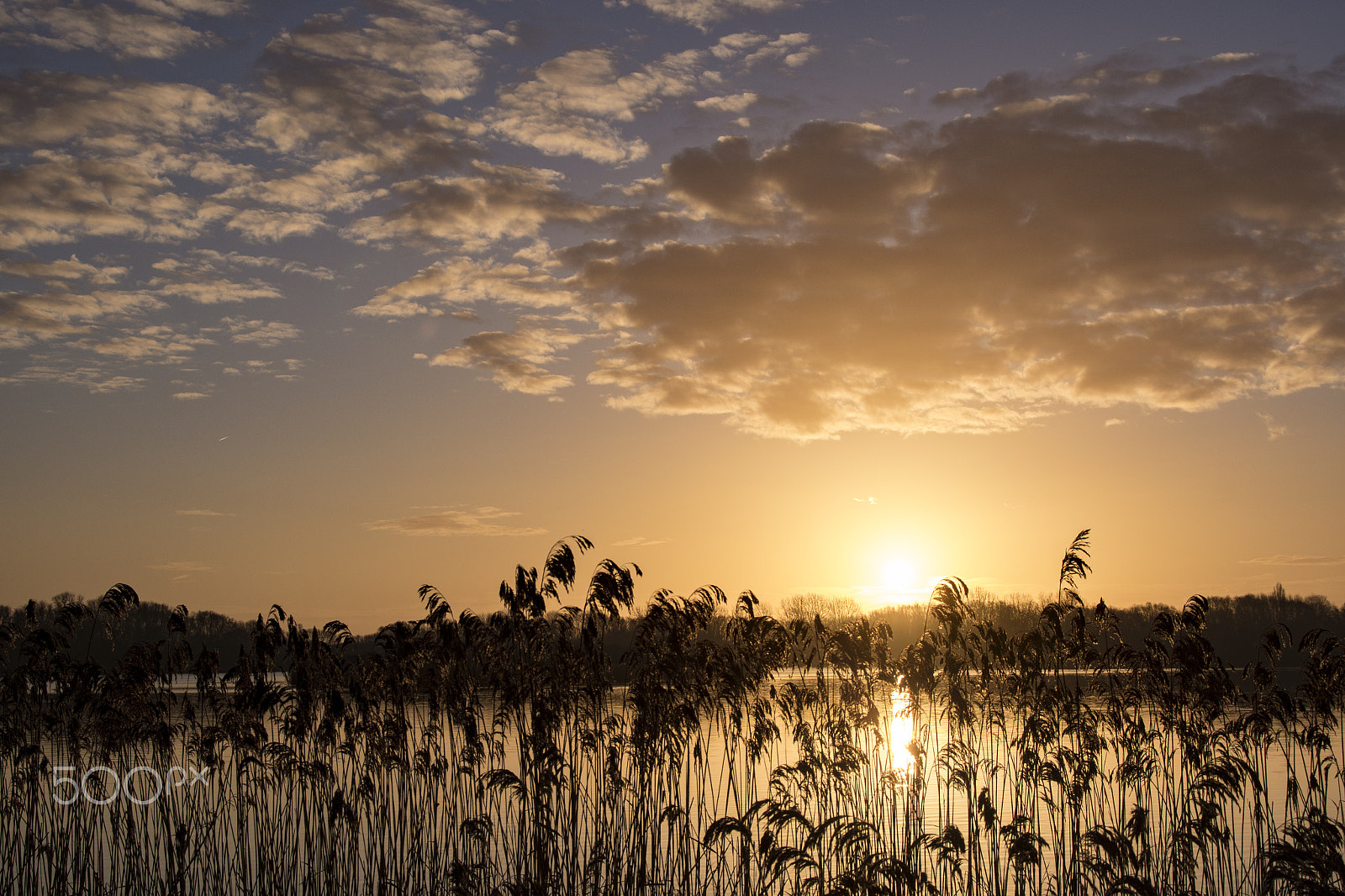 Nikon D7200 + Sigma 17-70mm F2.8-4 DC Macro OS HSM sample photo. Bedford priory photography