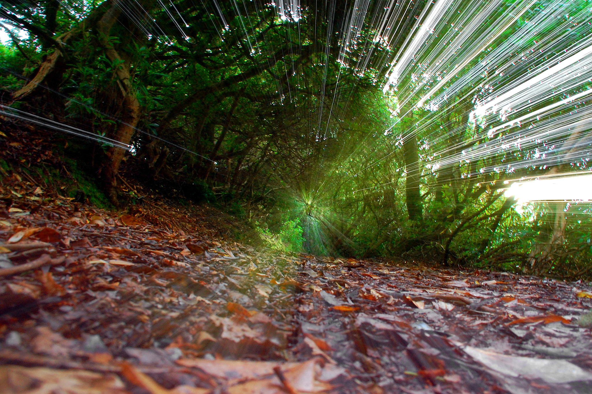 Nikon D40 sample photo. Beam me up... photography