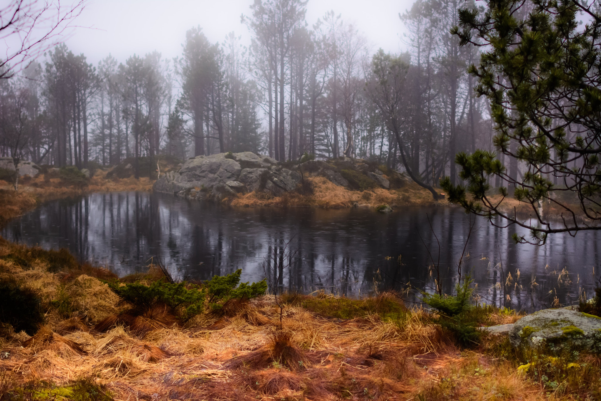 Nikon D7100 + Nikon AF-S Nikkor 28mm F1.8G sample photo. One if the lake on floyen photography