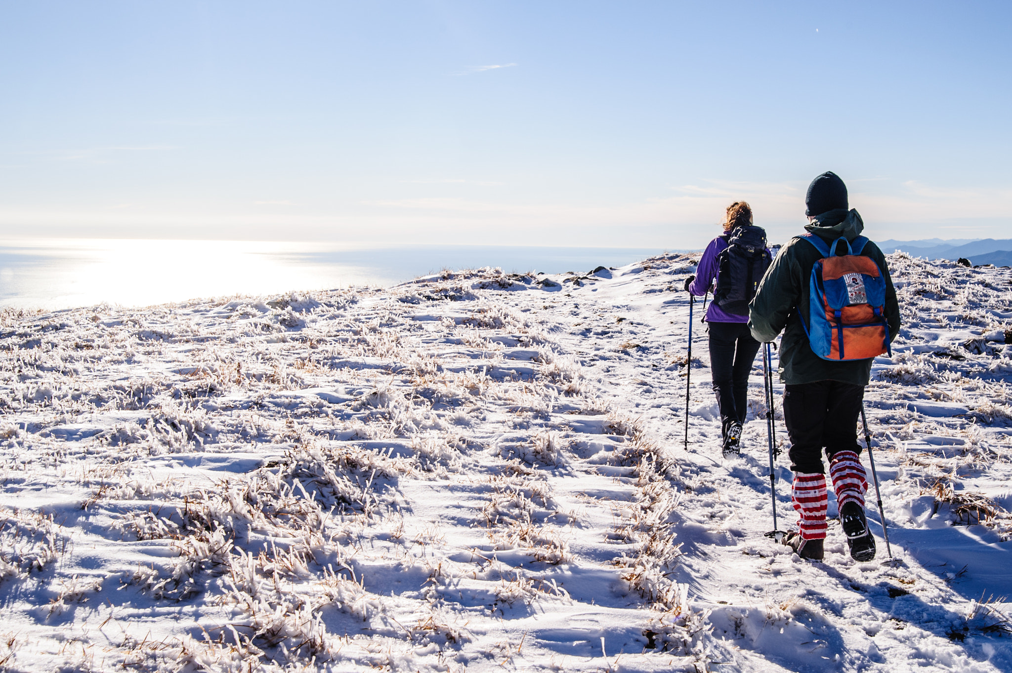 Nikon D700 sample photo. Trekking between sea and ice photography