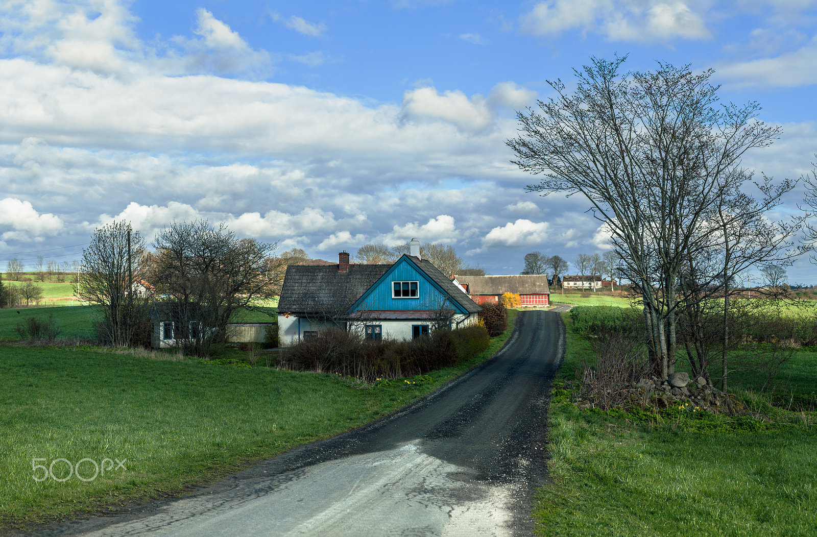 Sigma 70-300mm F4-5.6 APO DG Macro sample photo. Scania county, skane lan, south sweden photography