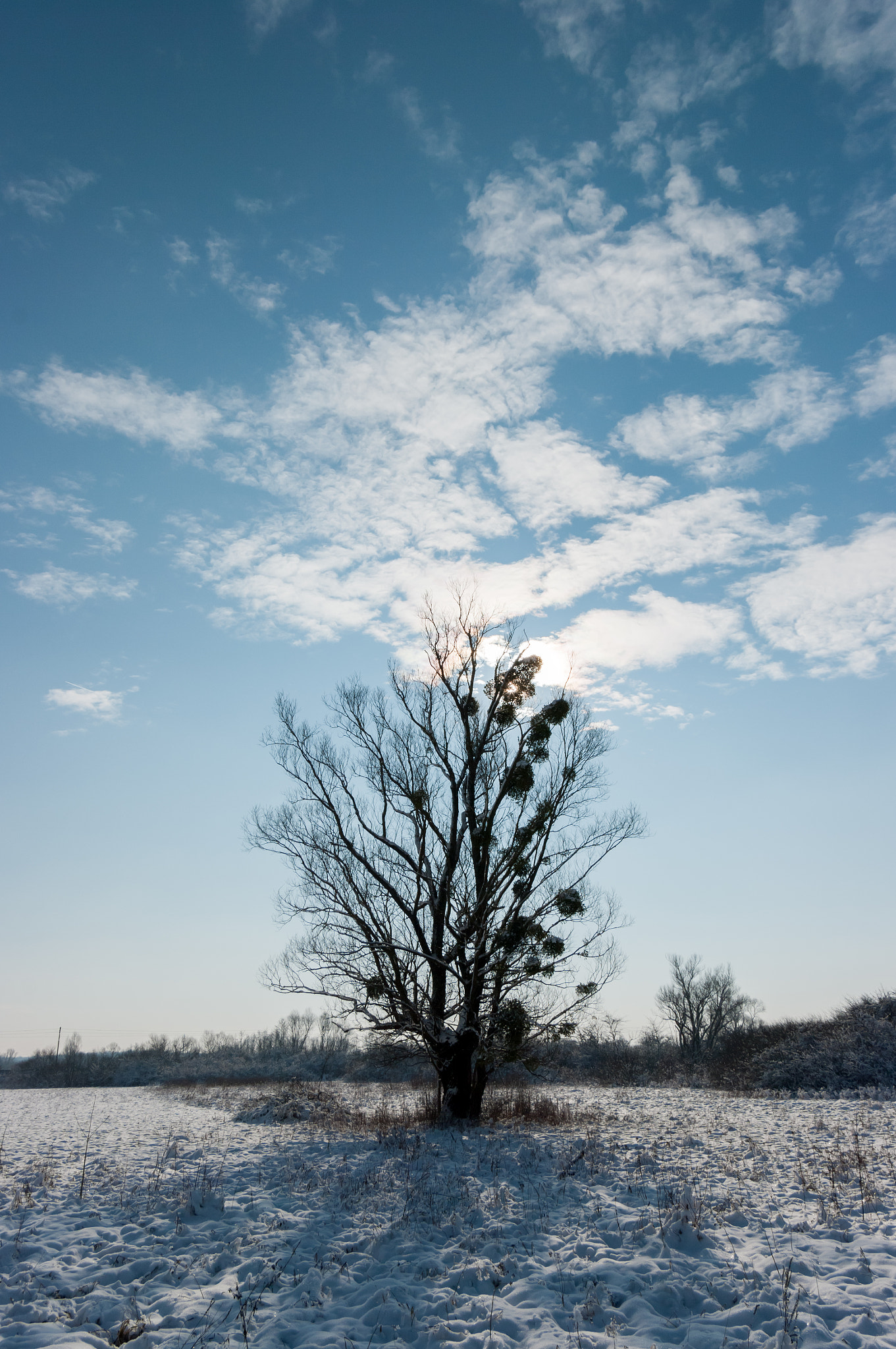 Pentax K20D + Pentax smc DA 16-45mm F4 ED AL sample photo. From the archive: december 2010. photography